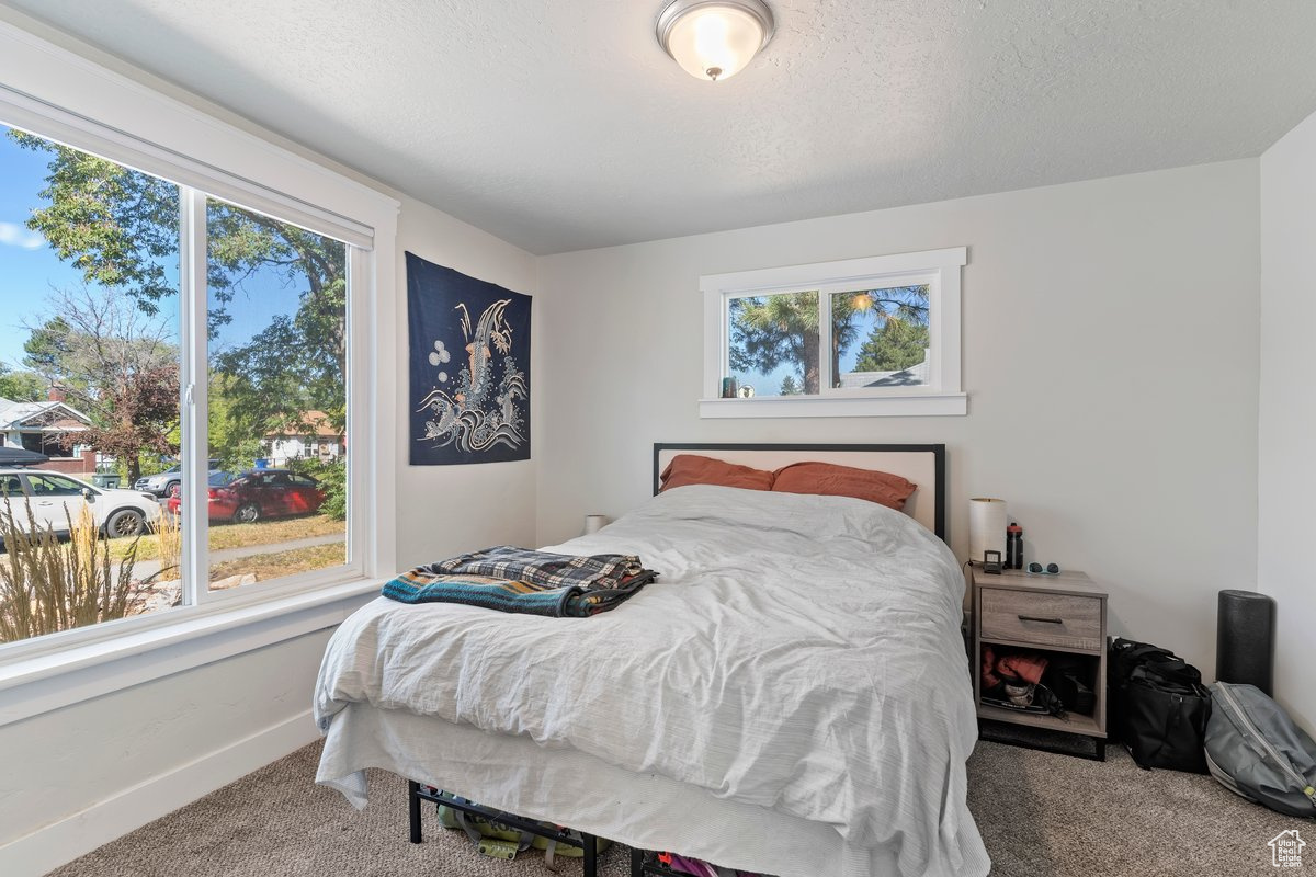 Bedroom featuring multiple windows, carpet, and a textured ceiling