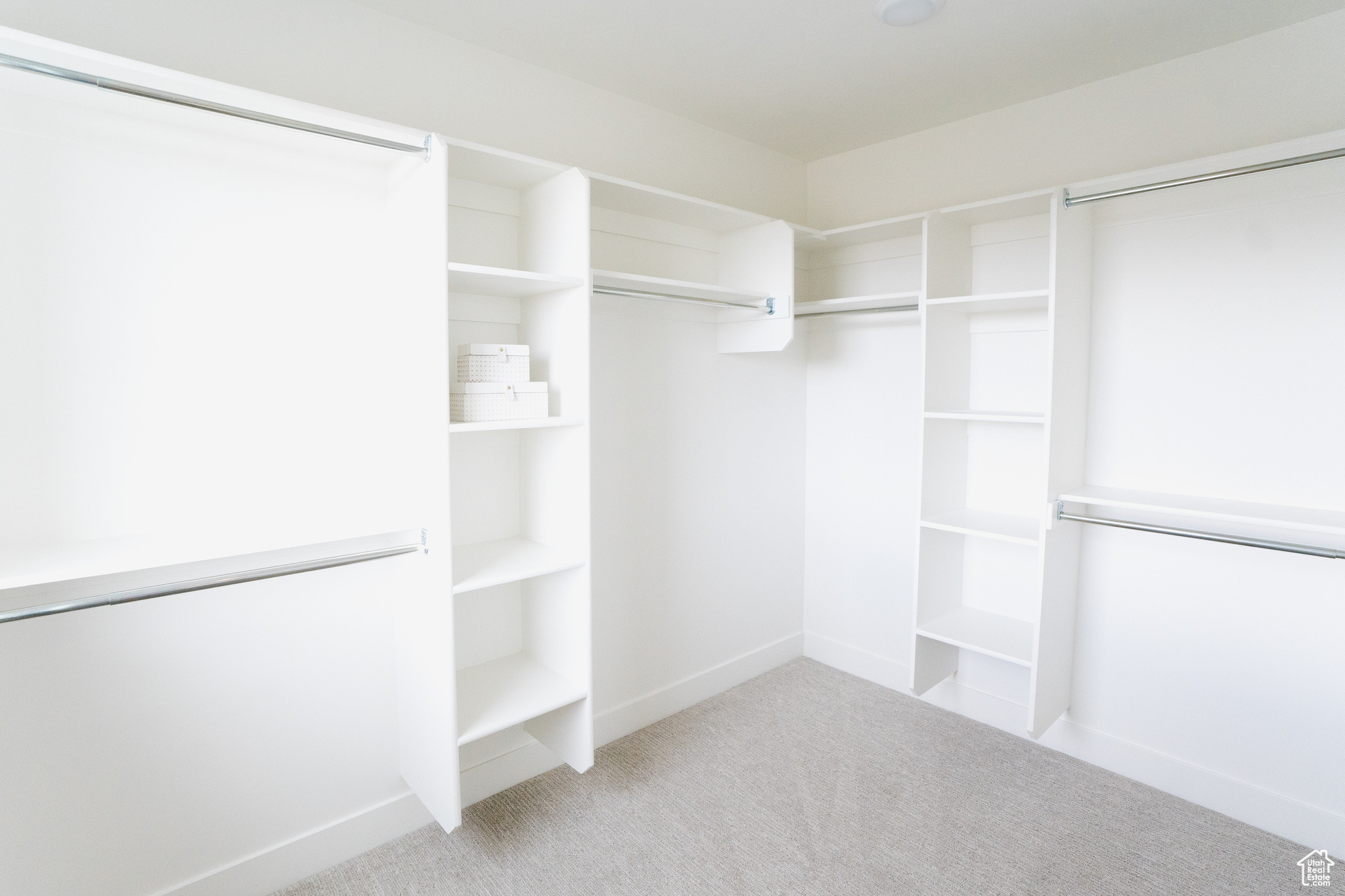 Spacious closet featuring light carpet