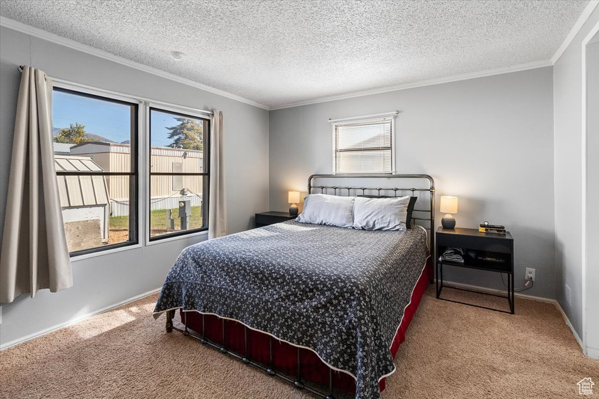 Carpeted bedroom with a textured ceiling, crown molding, and multiple windows