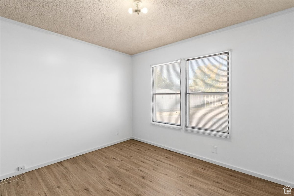 Spare room featuring light hardwood / wood-style flooring, a textured ceiling, and crown molding