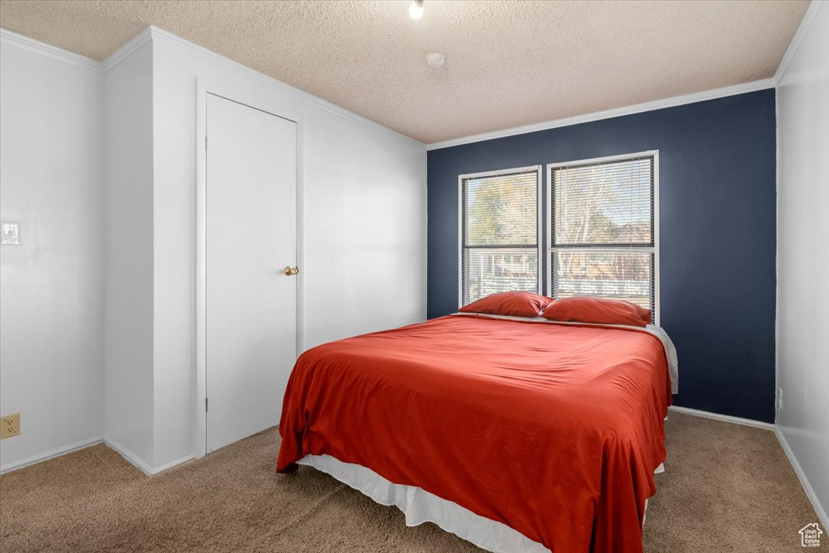 Carpeted bedroom featuring a textured ceiling and ornamental molding