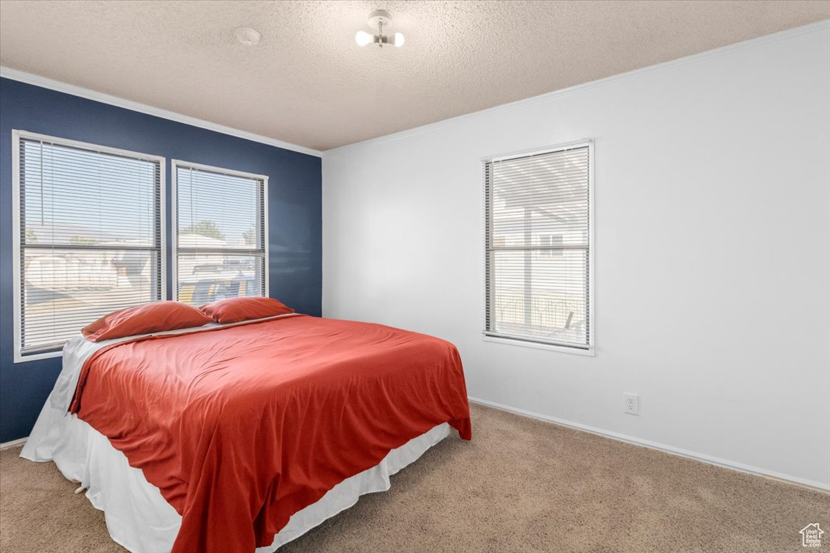 Bedroom featuring light carpet, a textured ceiling, and crown molding