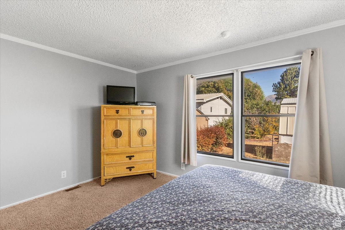 Carpeted bedroom with a textured ceiling and crown molding