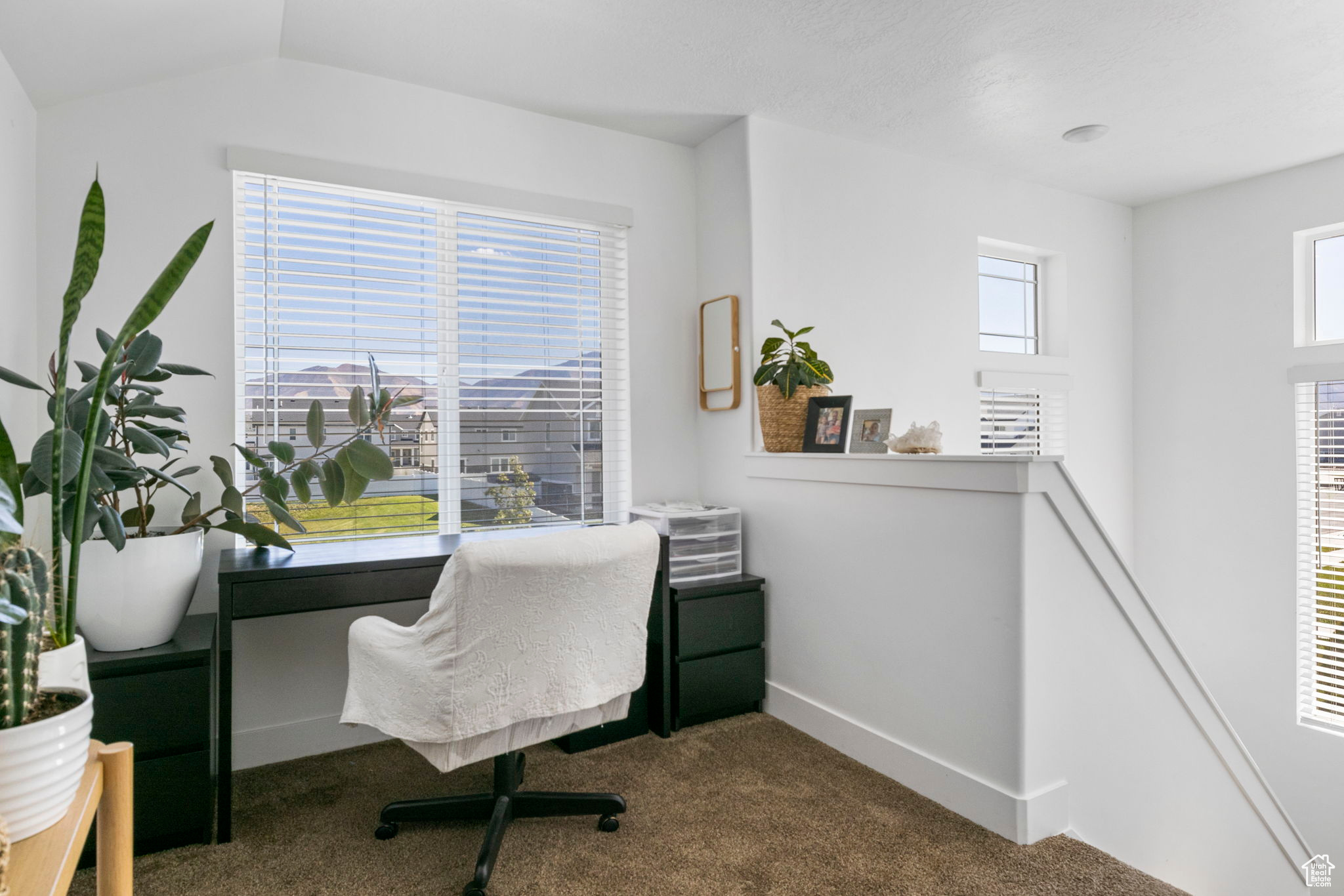 Office area with carpet floors