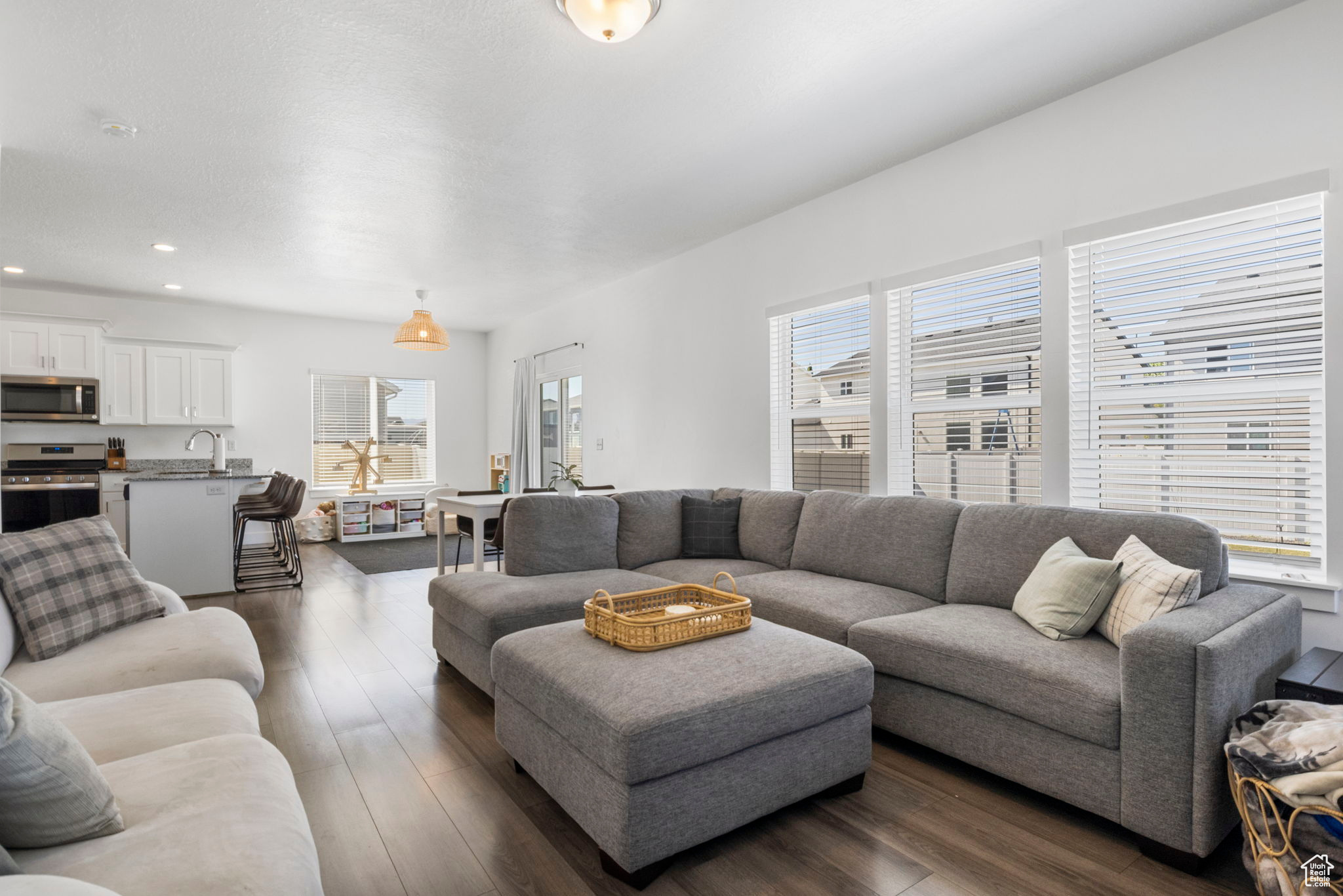 Living room featuring sink, dark wood-type flooring, and a wealth of natural light