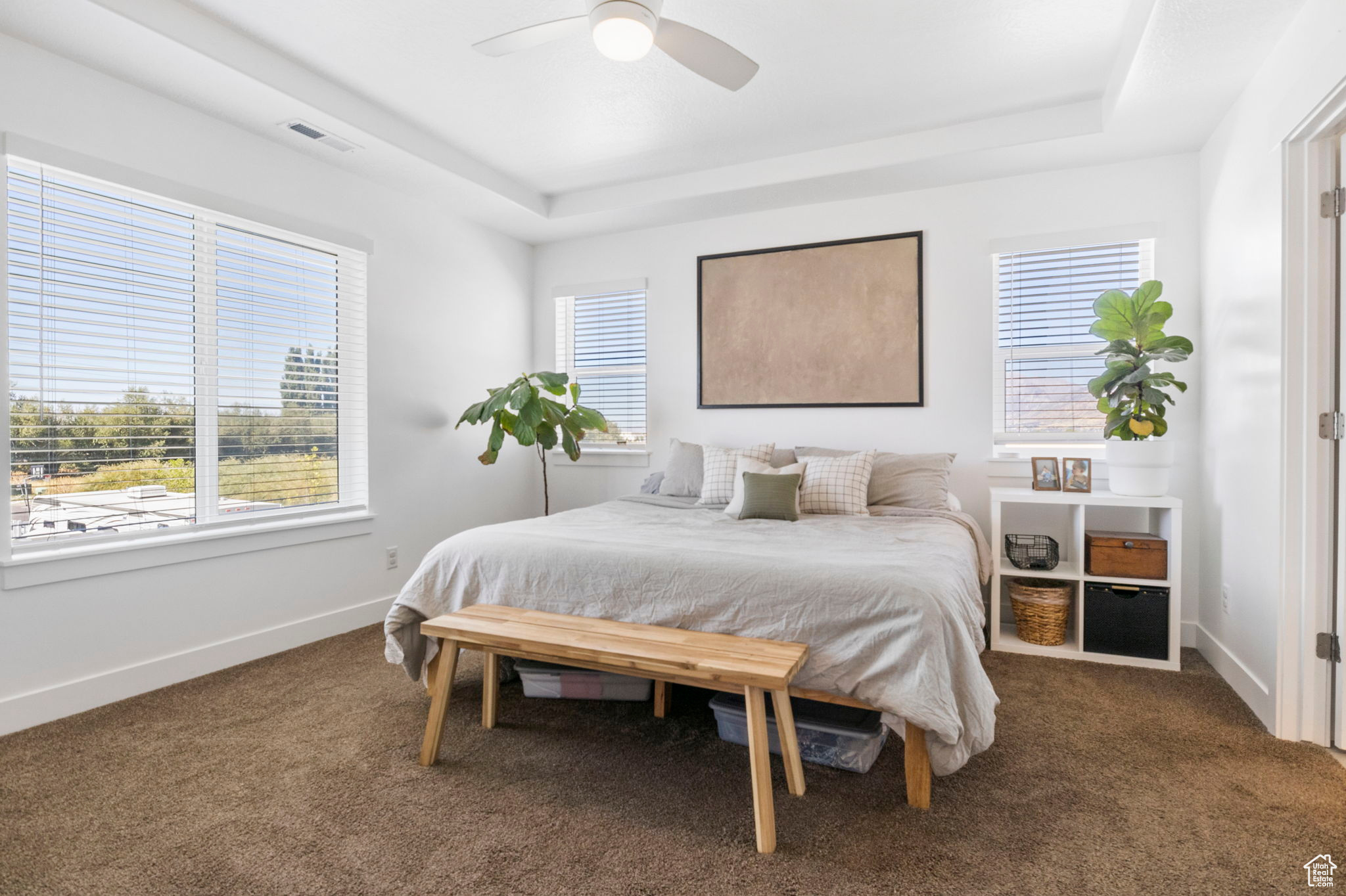 Carpeted bedroom featuring a raised ceiling and ceiling fan