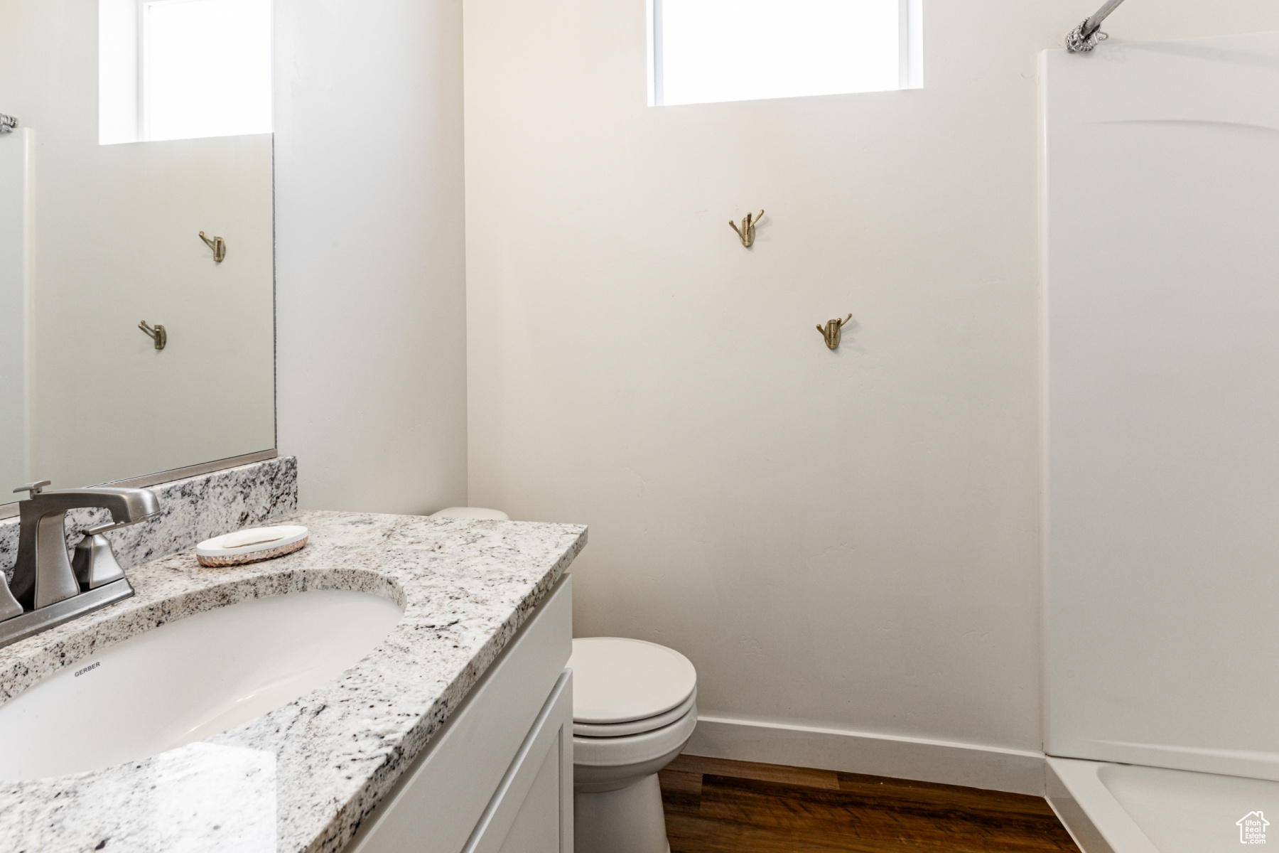 Bathroom featuring vanity, toilet, and hardwood / wood-style flooring