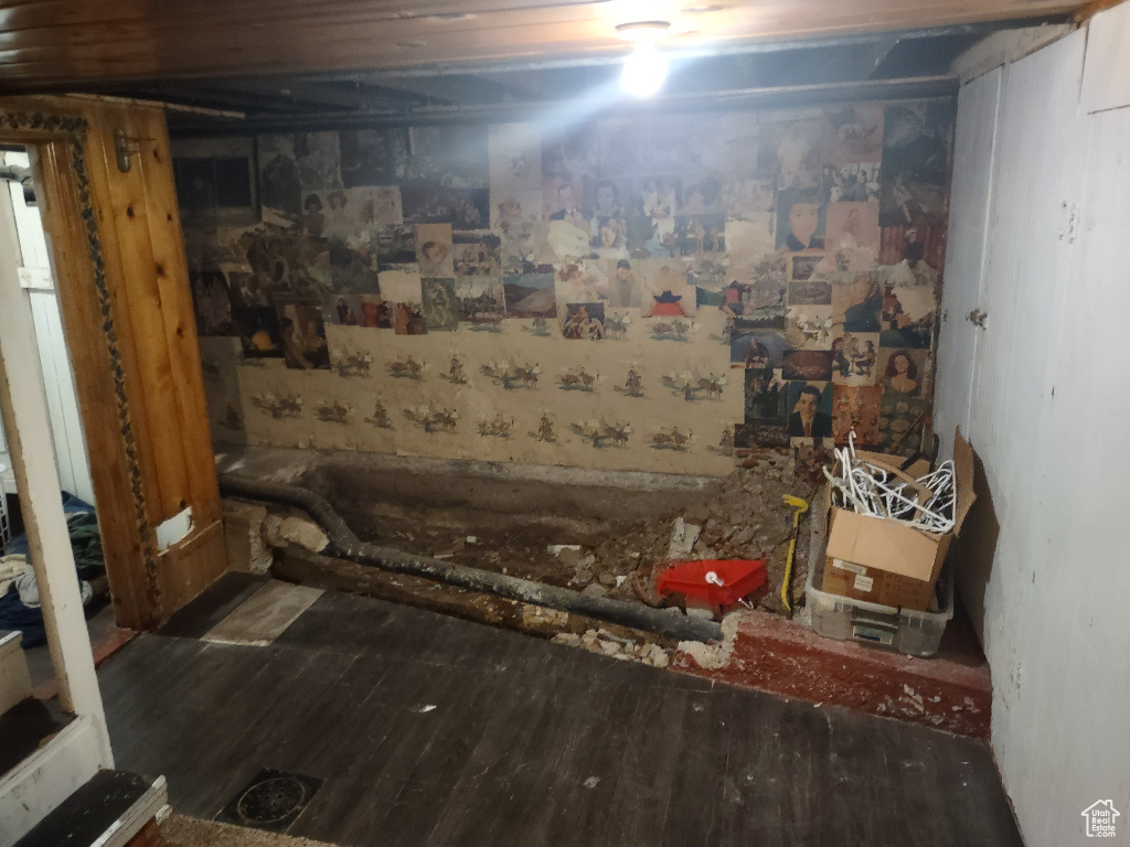 Basement featuring wood-type flooring