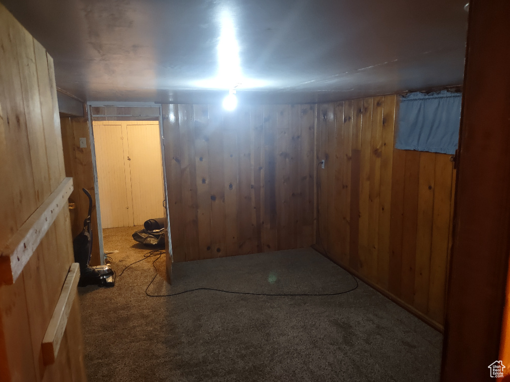 Basement with wood walls and carpet flooring