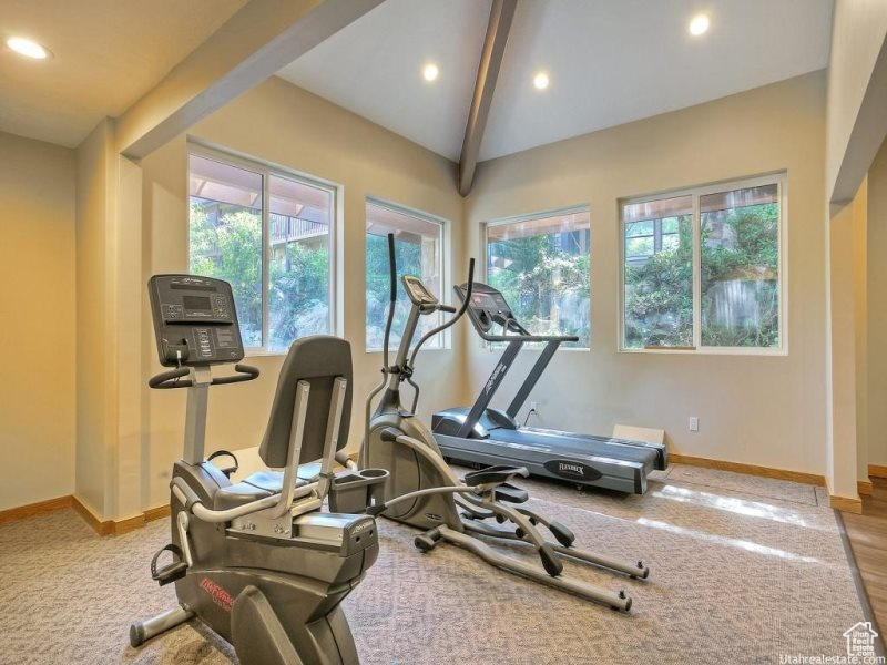 Workout room featuring vaulted ceiling and hardwood / wood-style flooring