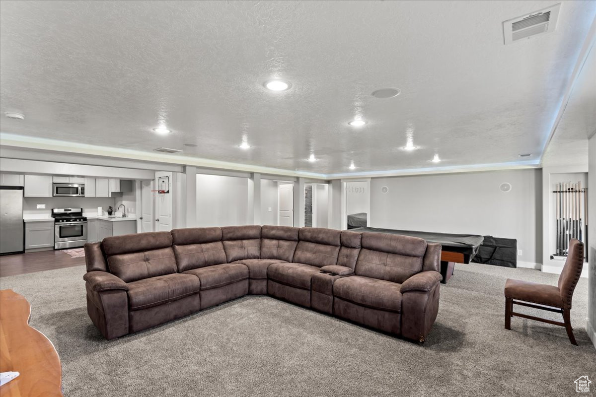 Carpeted living room featuring a textured ceiling and sink