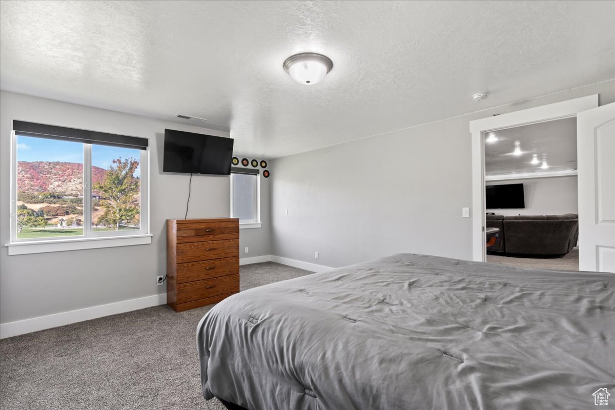 Bedroom featuring light colored carpet and a textured ceiling