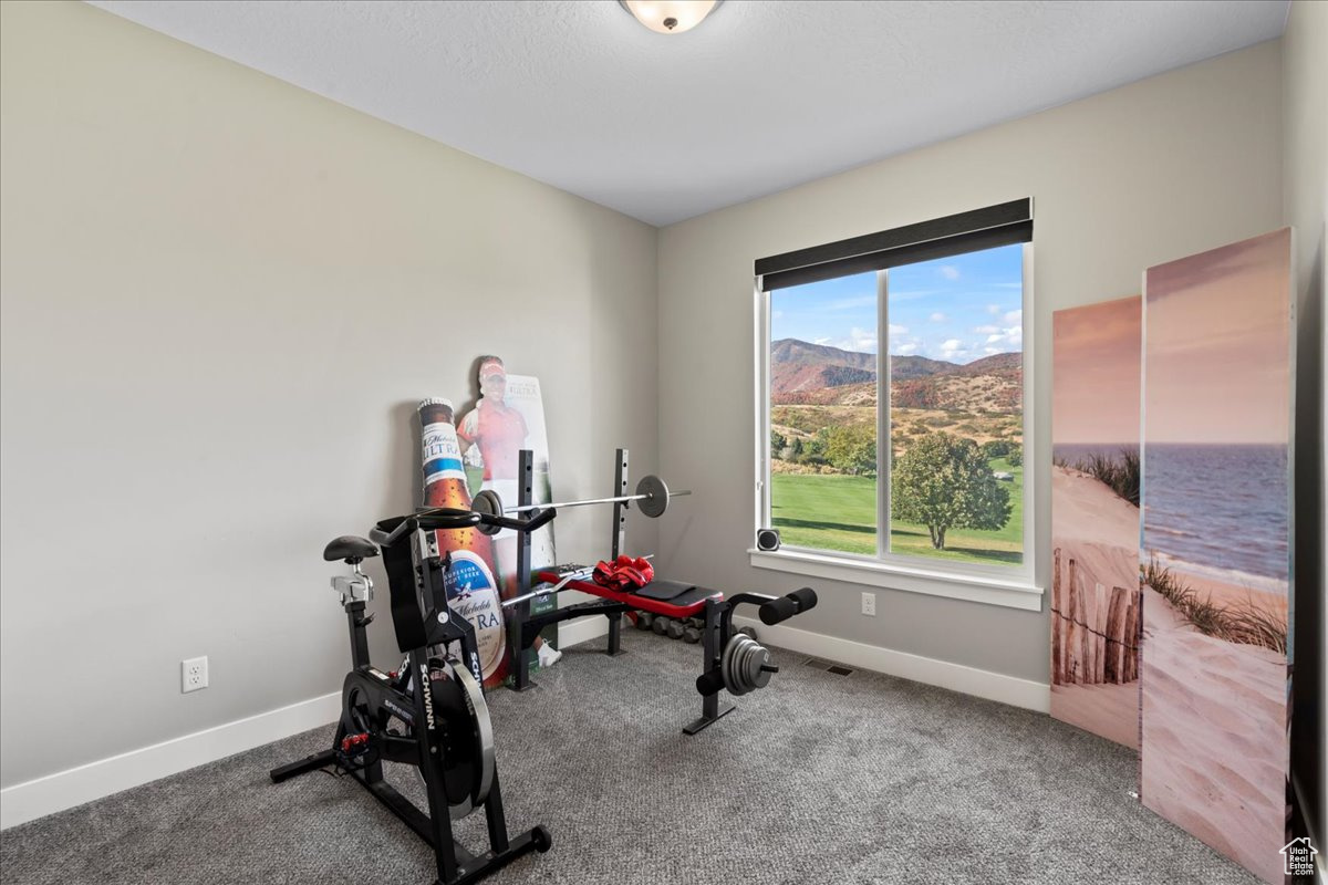 Workout room featuring carpet floors and a mountain view