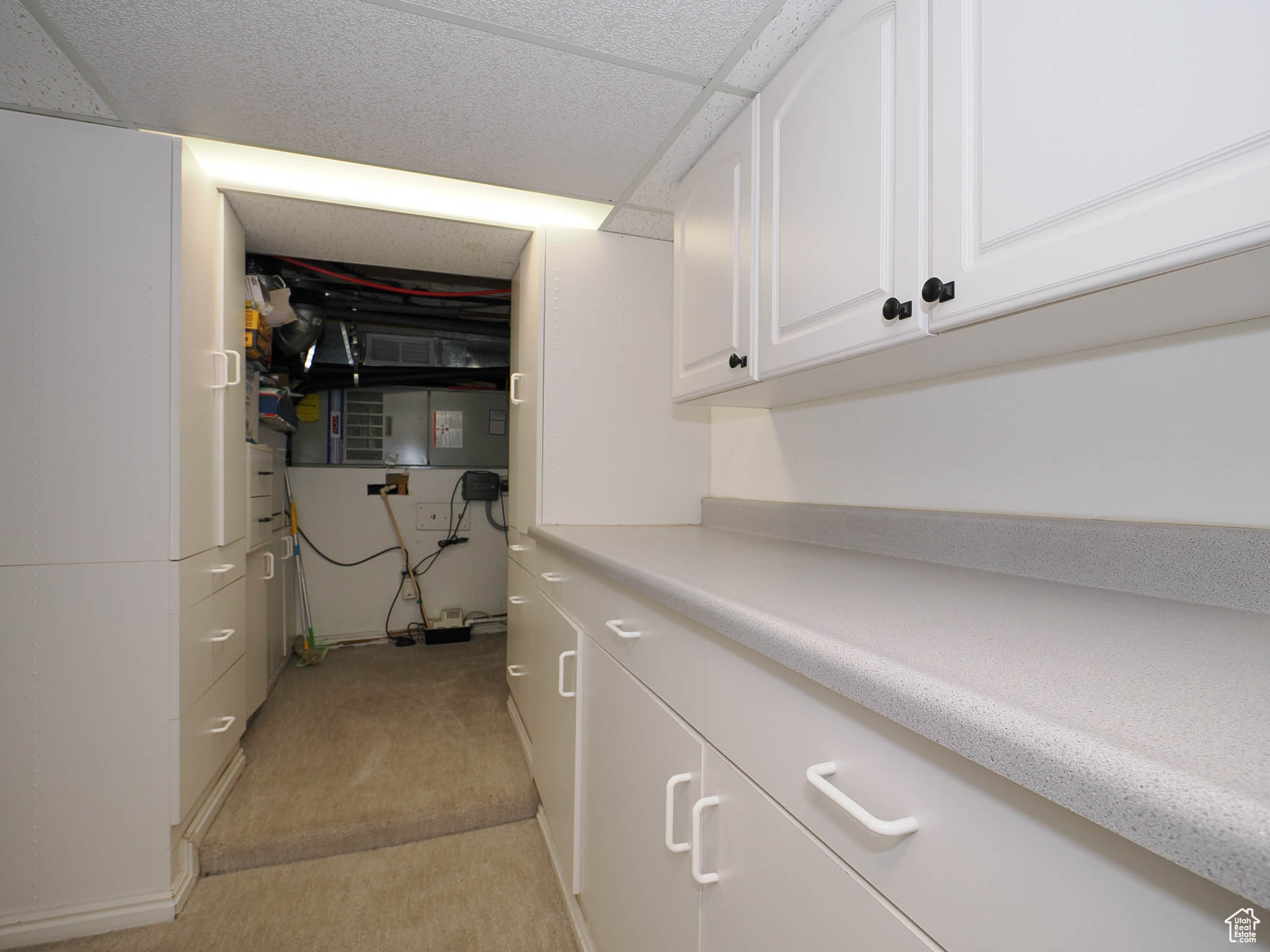 Clothes washing area with light colored carpet