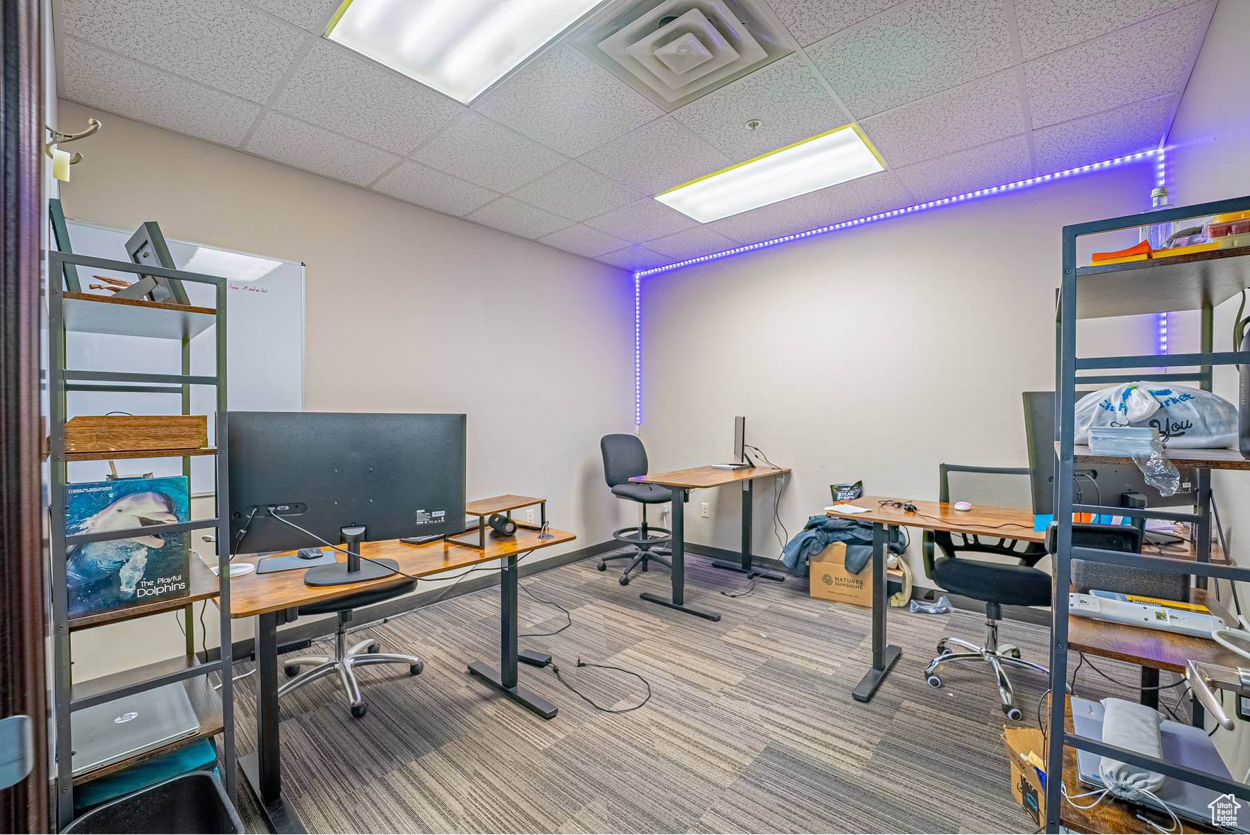 Carpeted office space with a drop ceiling