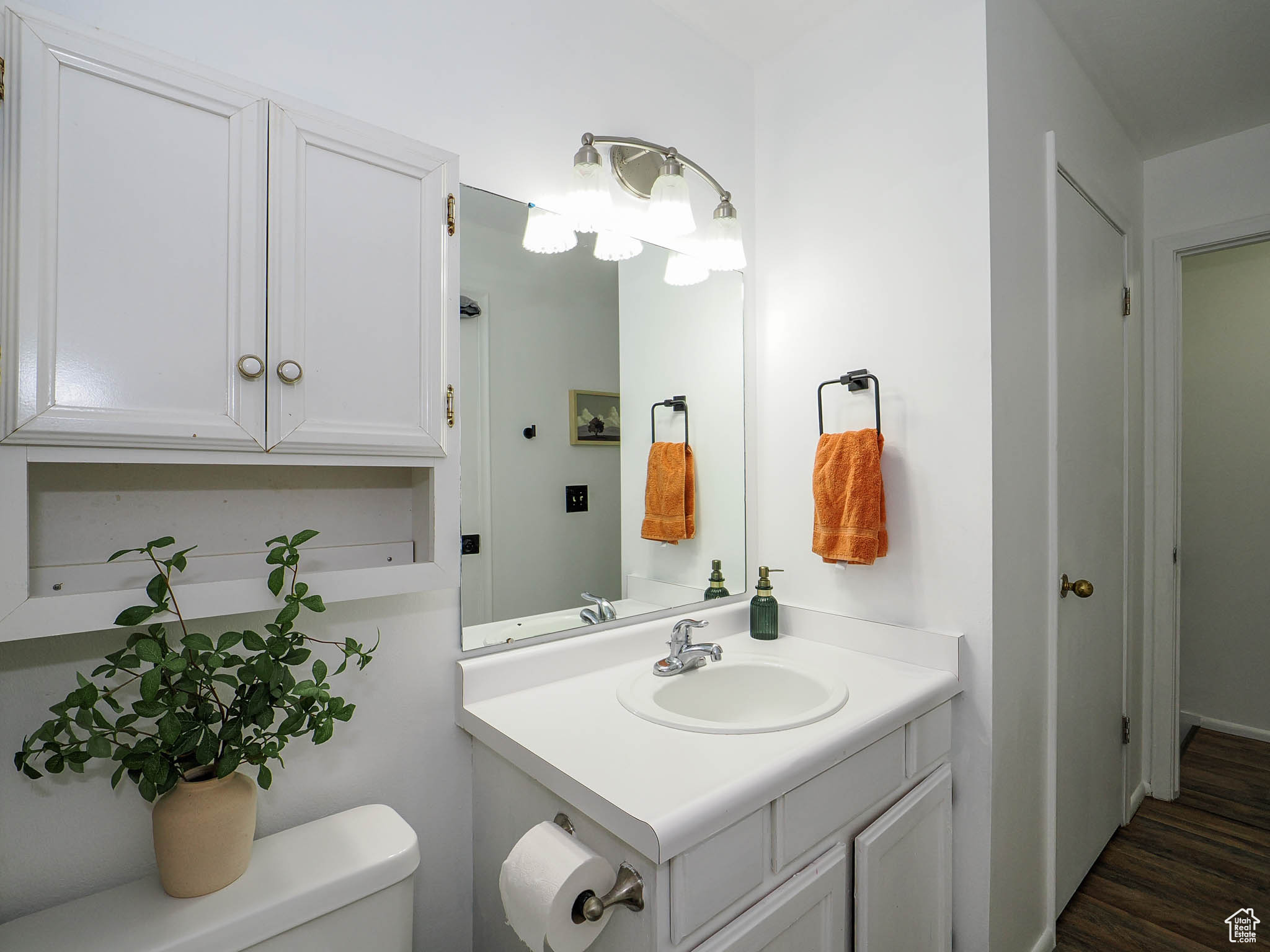 Bathroom with wood-type flooring, vanity, and toilet