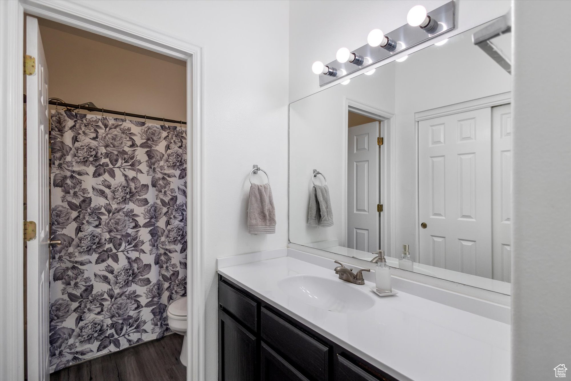 Bathroom with hardwood / wood-style floors, a shower with curtain, vanity, and toilet