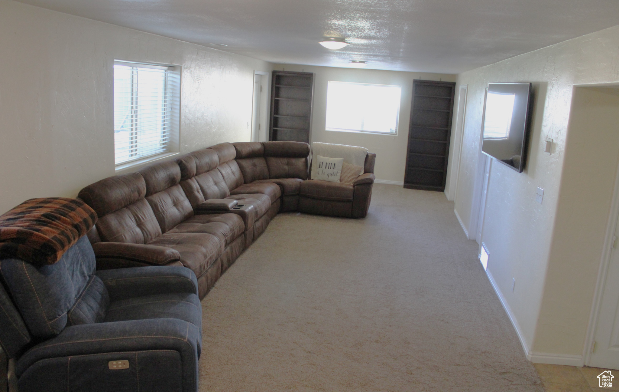 Carpeted living room featuring a wealth of natural light