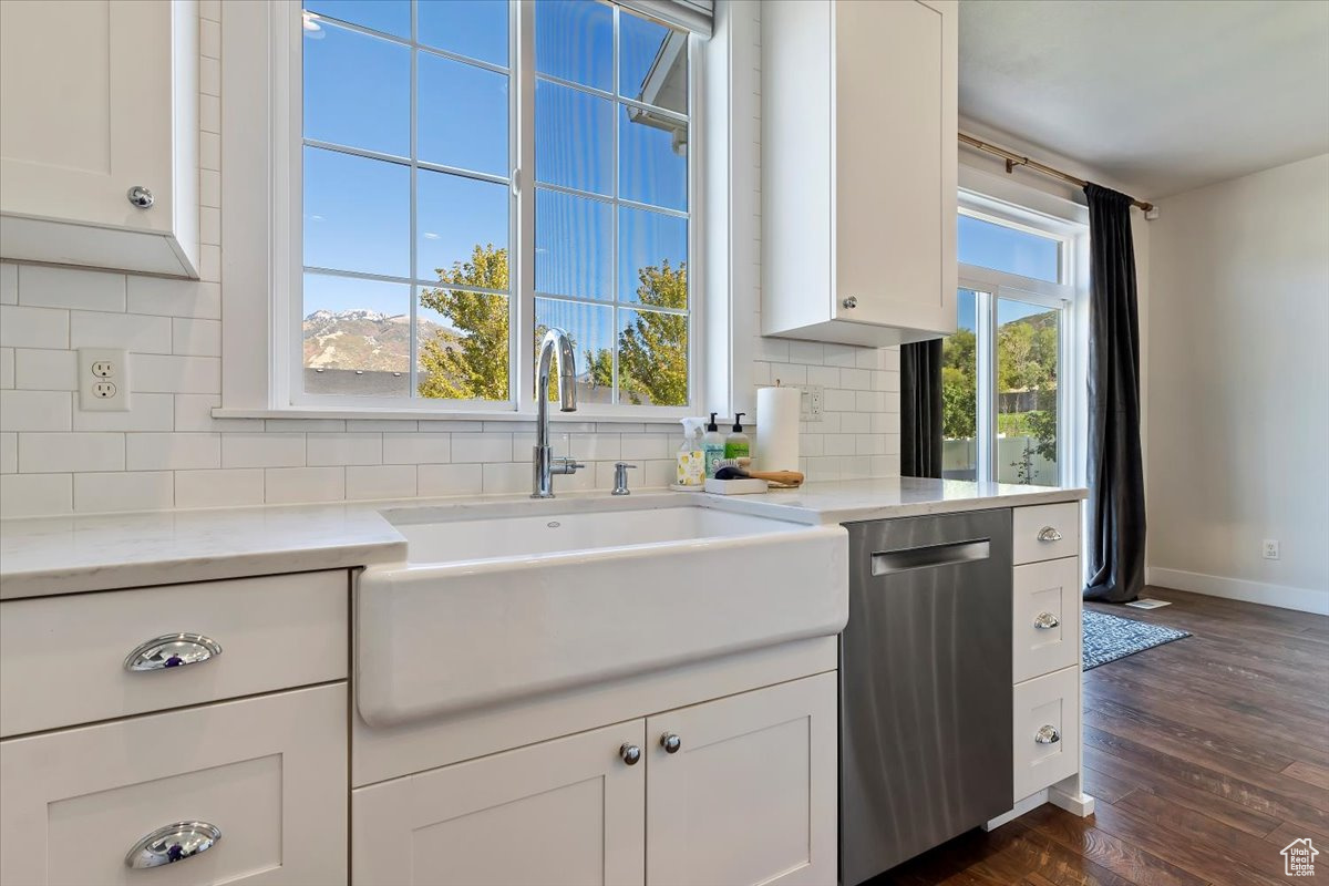 Kitchen with backsplash, dishwasher, plenty of natural light, and dark hardwood / wood-style floors