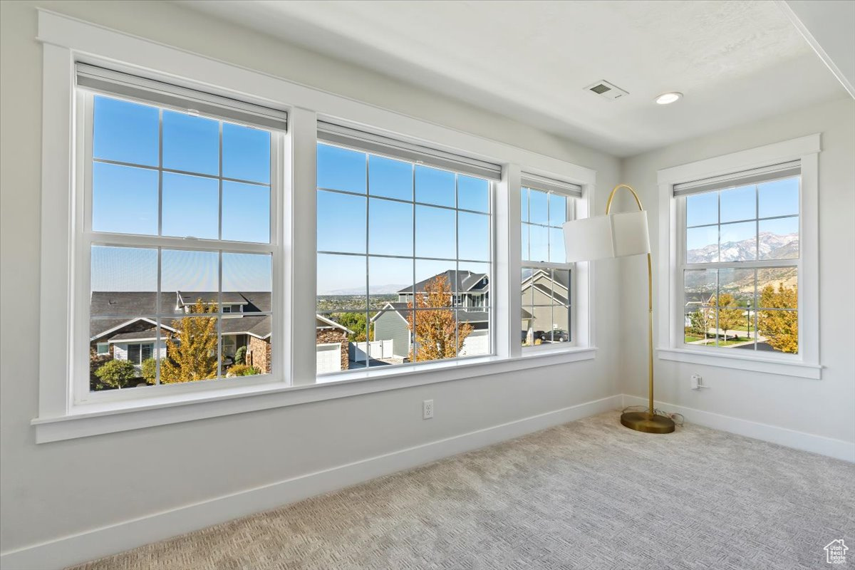 Unfurnished room featuring a healthy amount of sunlight, carpet, and a mountain view