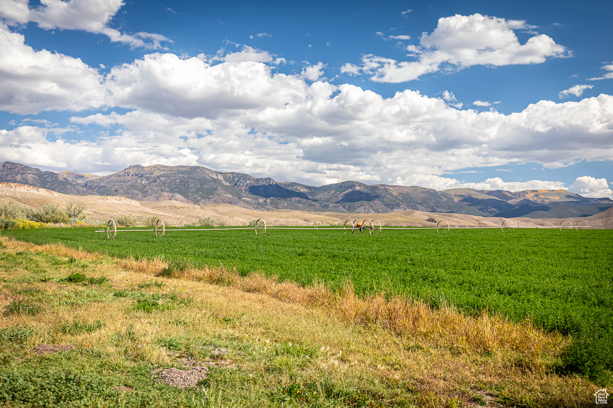 9431 TEN MILE, Marysvale, Utah 84750, ,Farm,For sale,TEN MILE,2027971