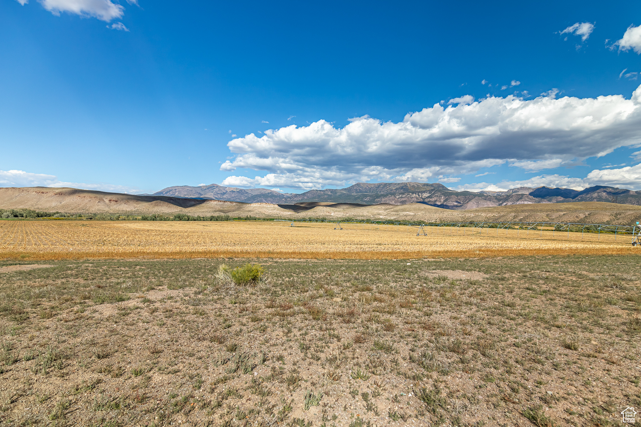 9431 TEN MILE, Marysvale, Utah 84750, ,Farm,For sale,TEN MILE,2027971