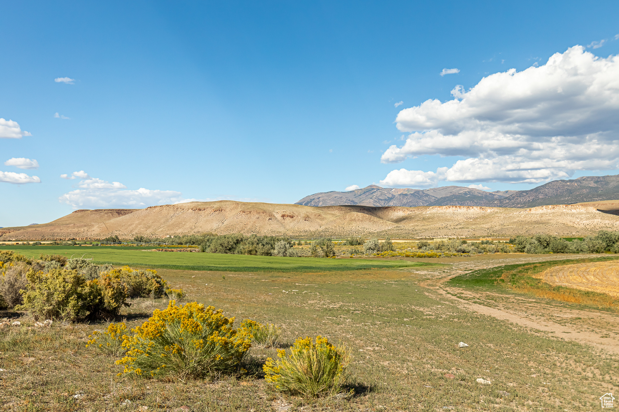 9431 TEN MILE, Marysvale, Utah 84750, ,Farm,For sale,TEN MILE,2027971