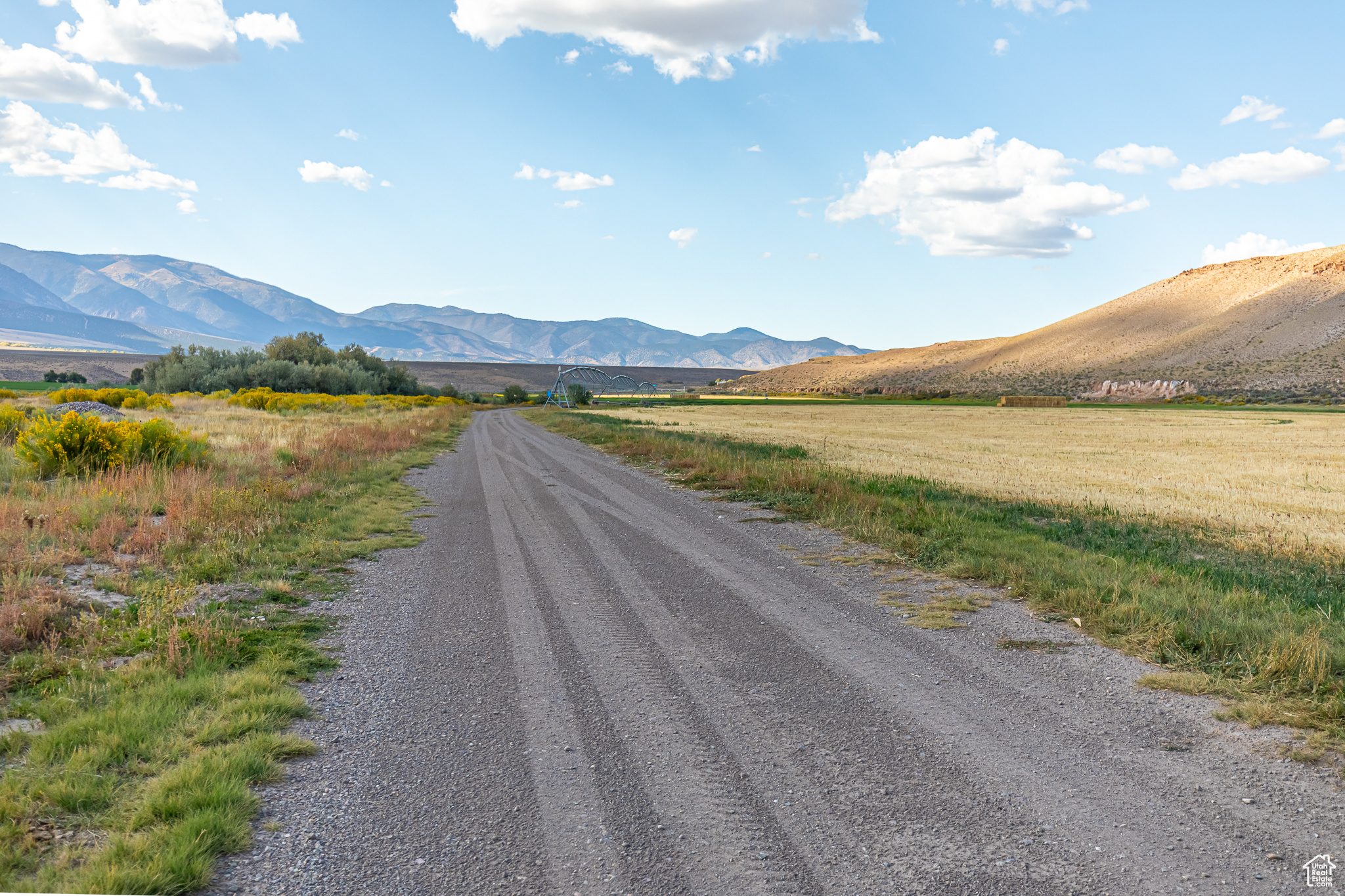 9431 TEN MILE, Marysvale, Utah 84750, ,Farm,For sale,TEN MILE,2027971