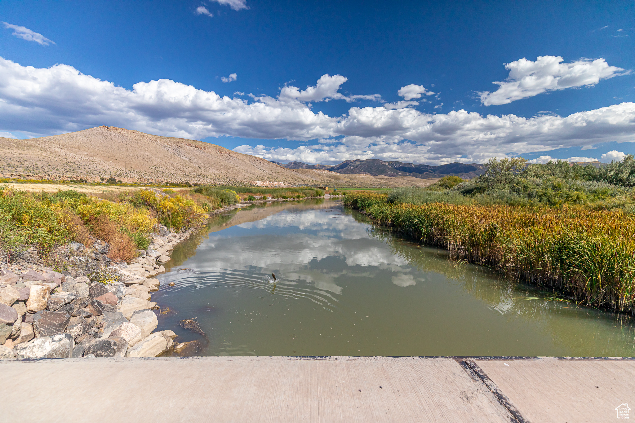 9431 TEN MILE, Marysvale, Utah 84750, ,Farm,For sale,TEN MILE,2027971