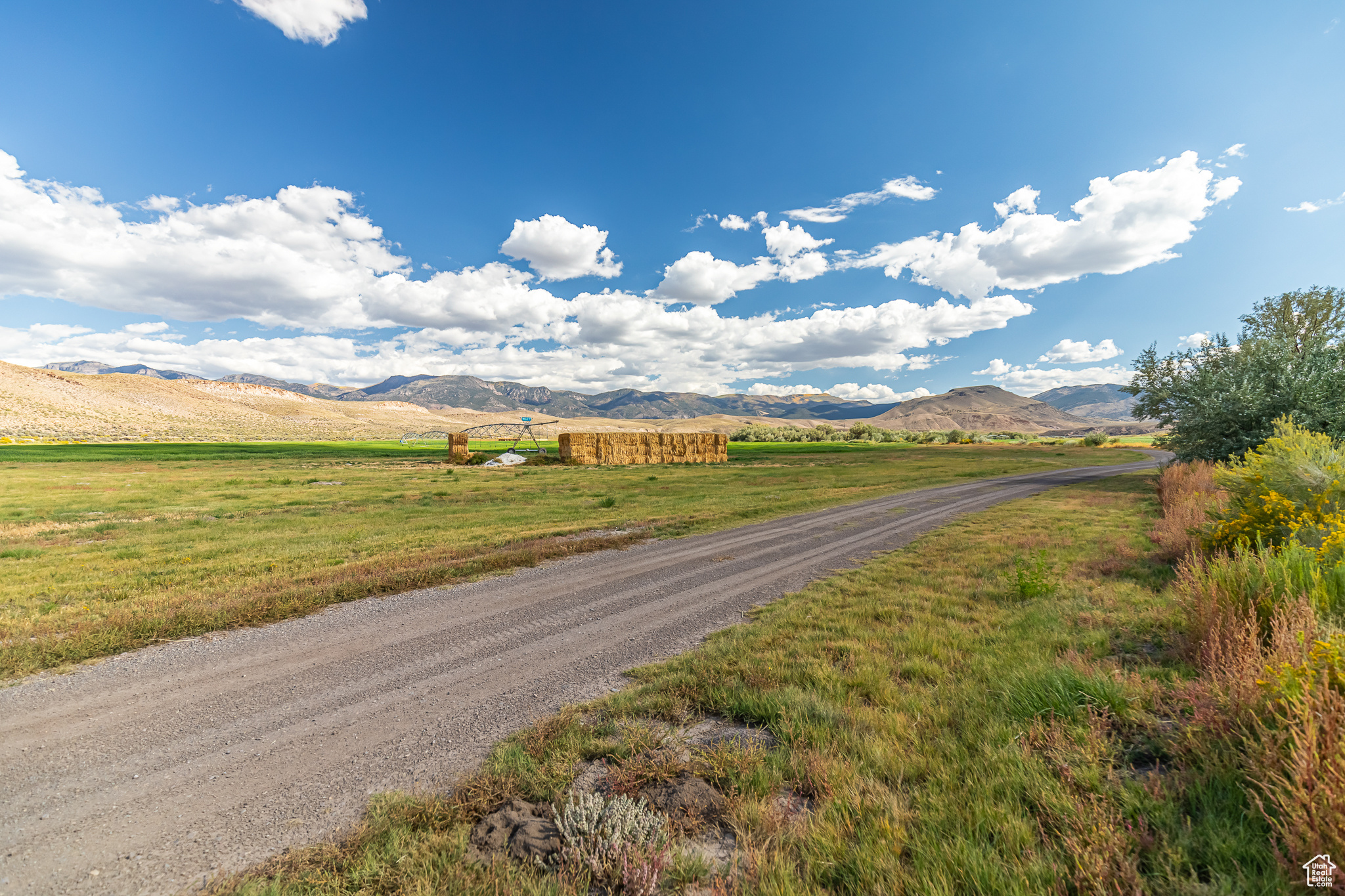 9431 TEN MILE, Marysvale, Utah 84750, ,Farm,For sale,TEN MILE,2027971