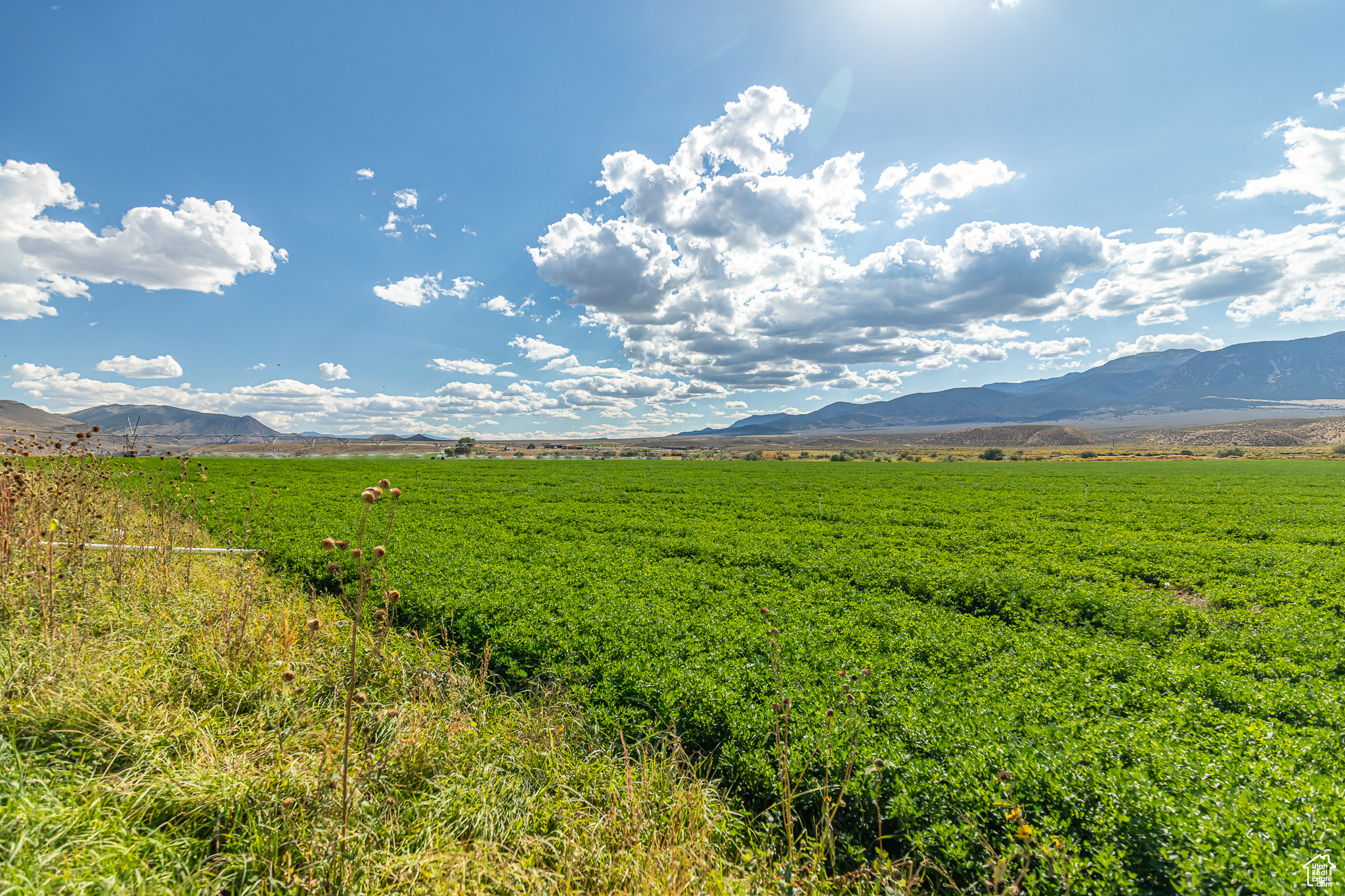 9431 TEN MILE, Marysvale, Utah 84750, ,Farm,For sale,TEN MILE,2027971