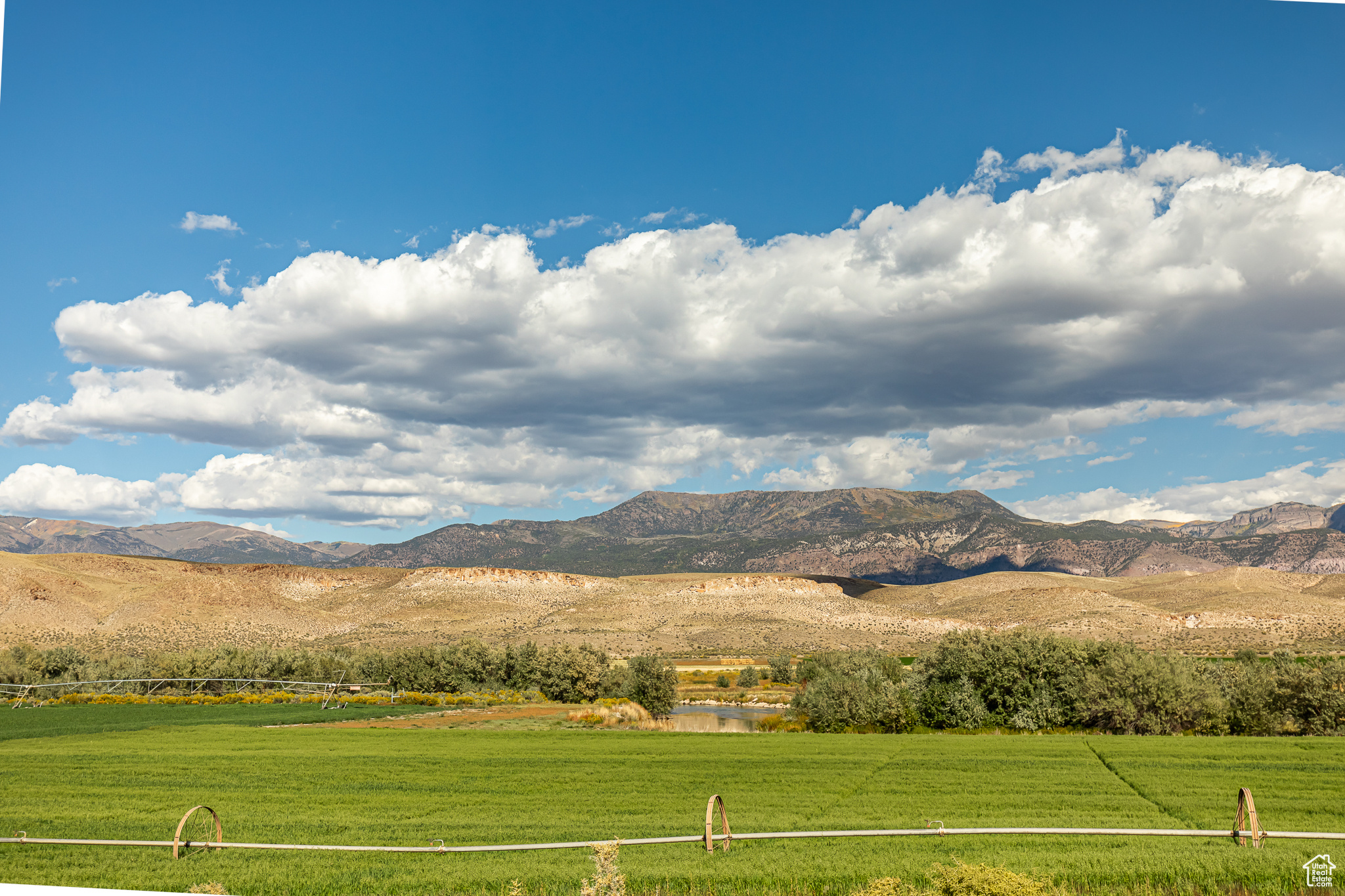 9431 TEN MILE, Marysvale, Utah 84750, ,Farm,For sale,TEN MILE,2027971