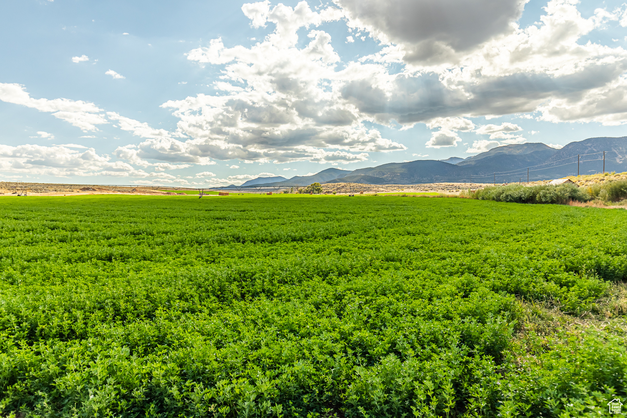 9431 TEN MILE, Marysvale, Utah 84750, ,Farm,For sale,TEN MILE,2027971