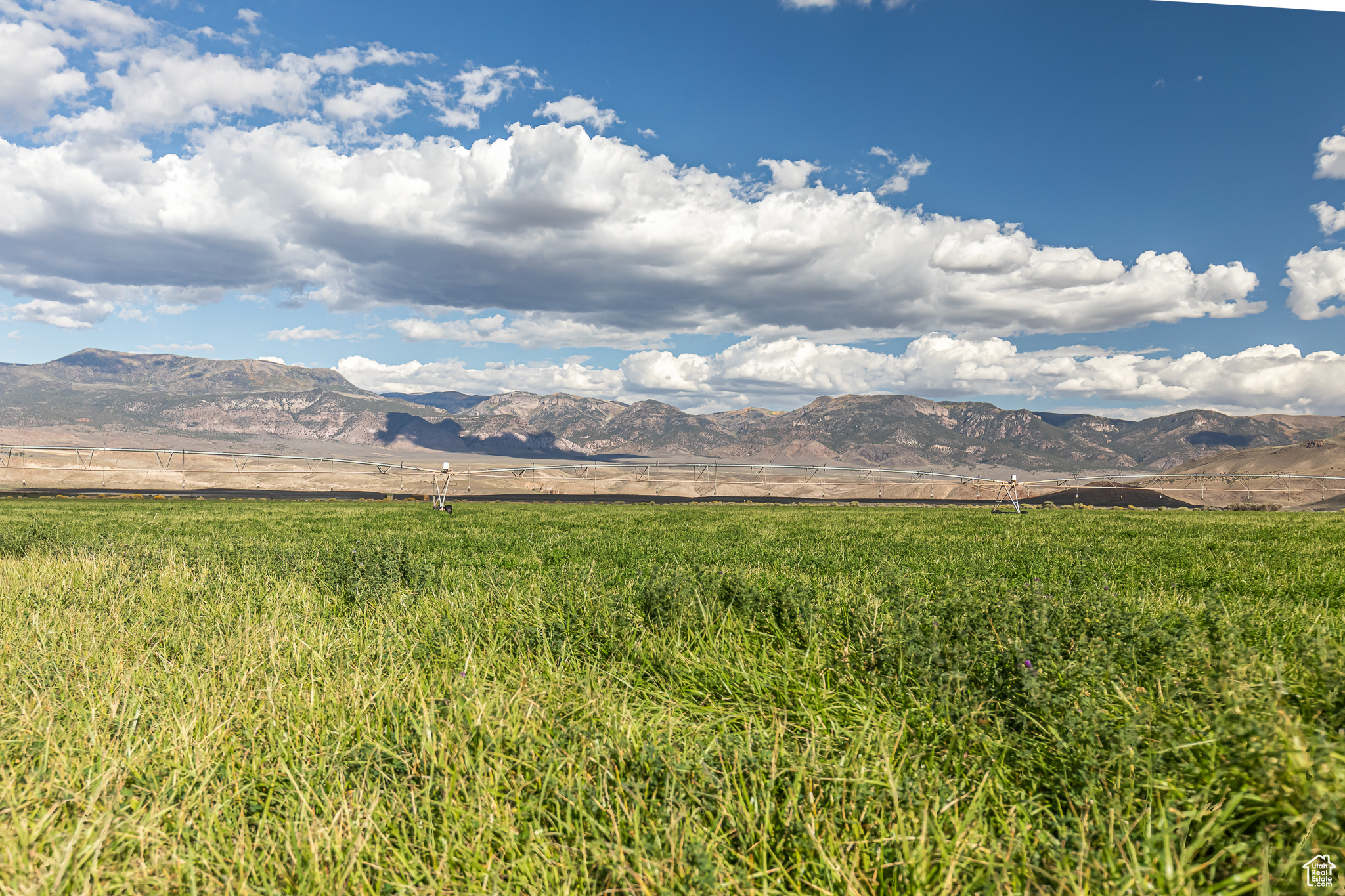 9431 TEN MILE, Marysvale, Utah 84750, ,Farm,For sale,TEN MILE,2027971