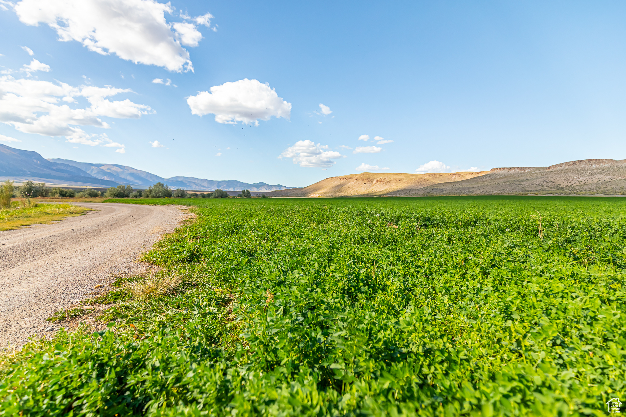 9431 TEN MILE, Marysvale, Utah 84750, ,Farm,For sale,TEN MILE,2027971