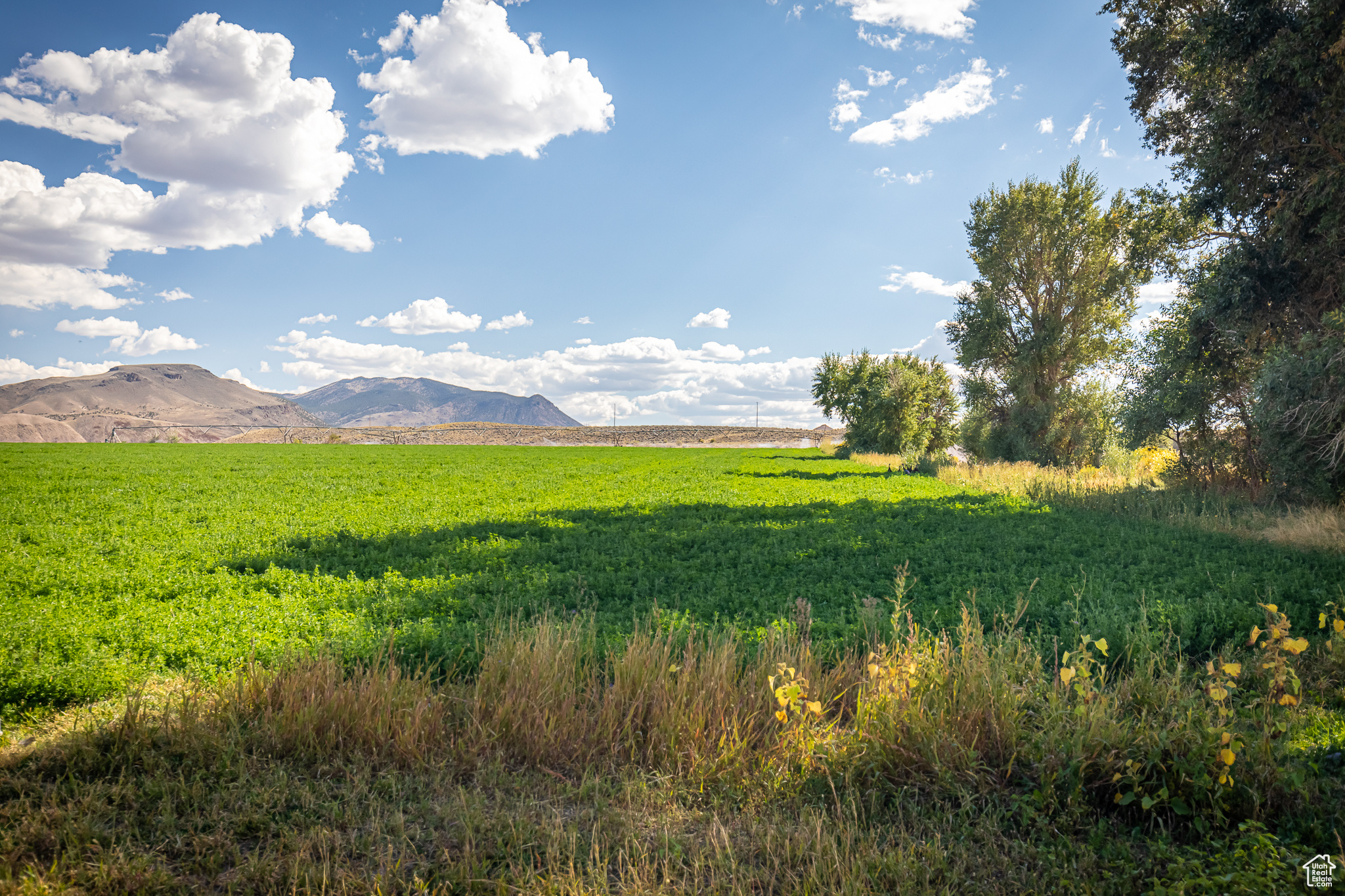 9431 TEN MILE, Marysvale, Utah 84750, ,Farm,For sale,TEN MILE,2027971