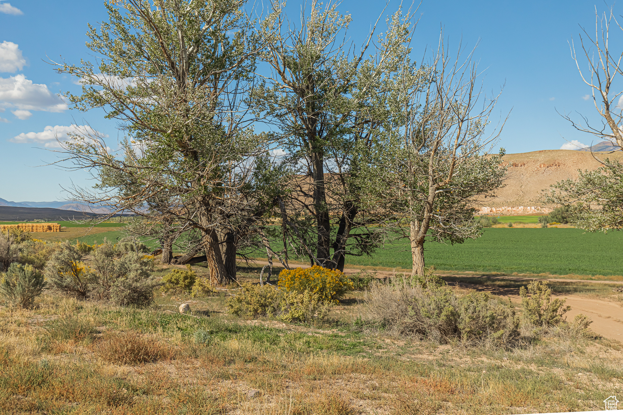 9431 TEN MILE, Marysvale, Utah 84750, ,Farm,For sale,TEN MILE,2027971