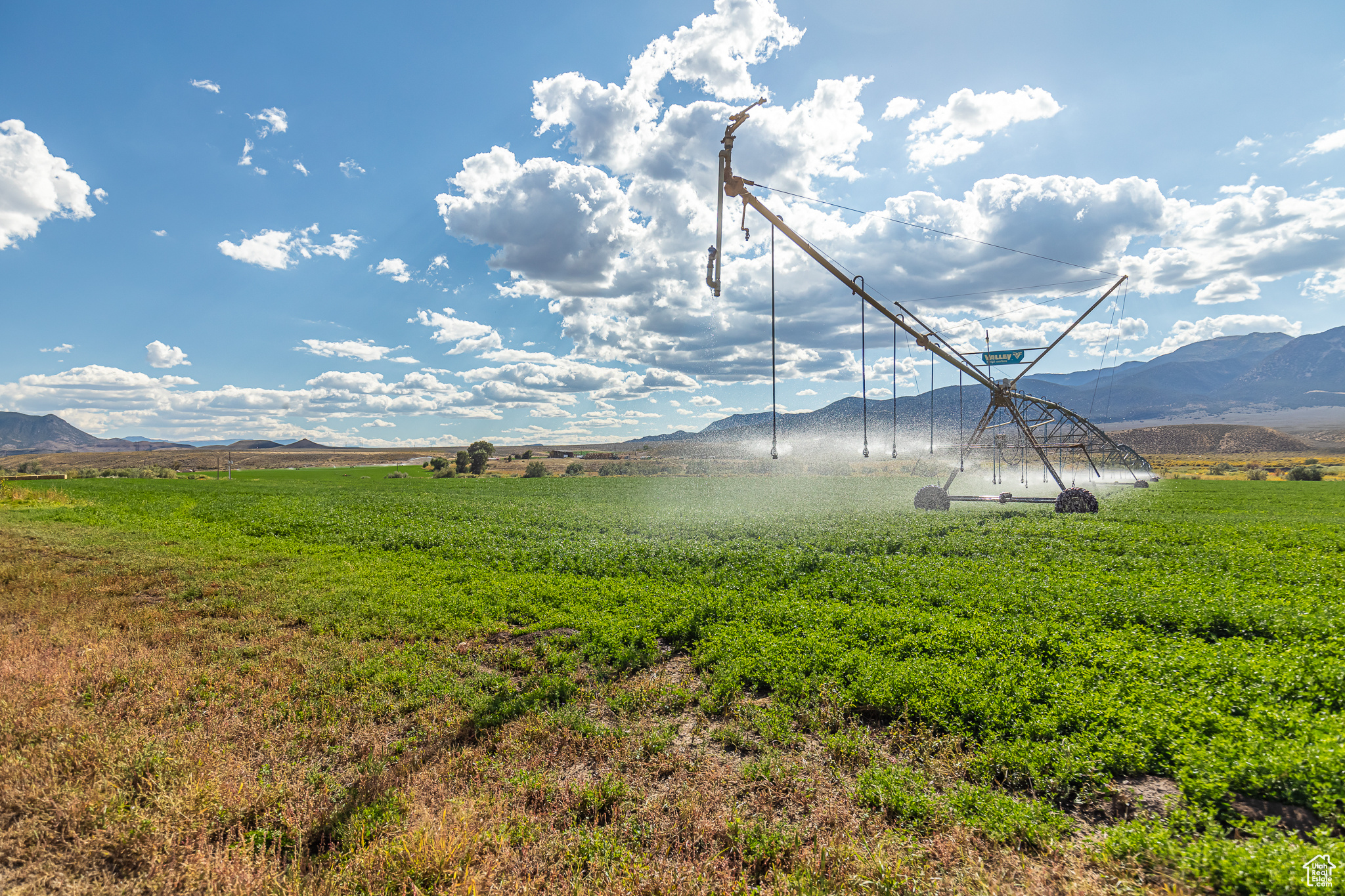 9431 TEN MILE, Marysvale, Utah 84750, ,Farm,For sale,TEN MILE,2027971