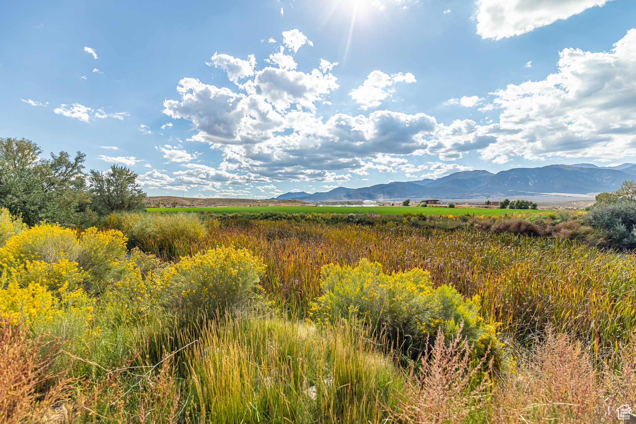 9431 TEN MILE, Marysvale, Utah 84750, ,Farm,For sale,TEN MILE,2027971