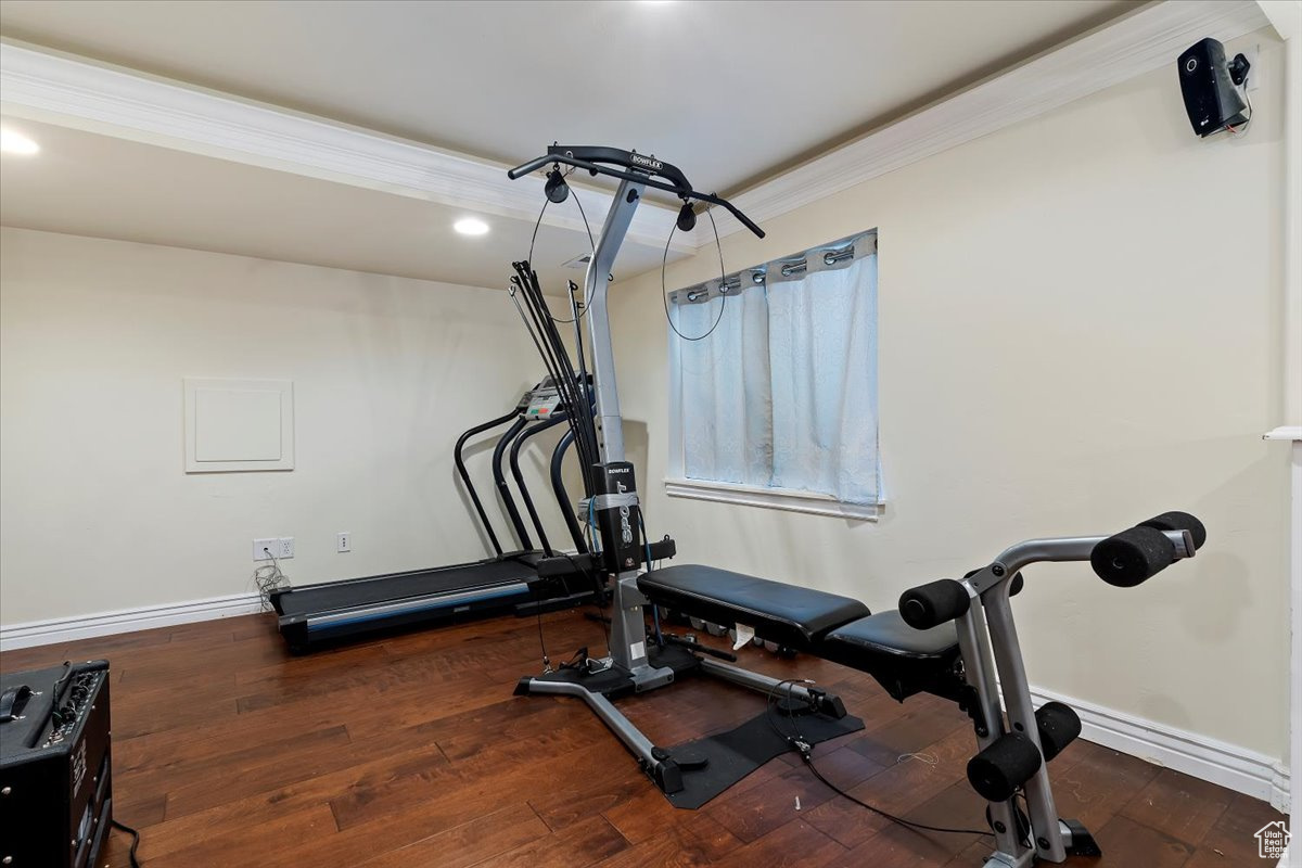 Exercise room featuring ornamental molding and dark wood-type flooring