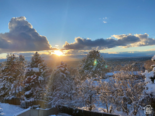 Back Patio View