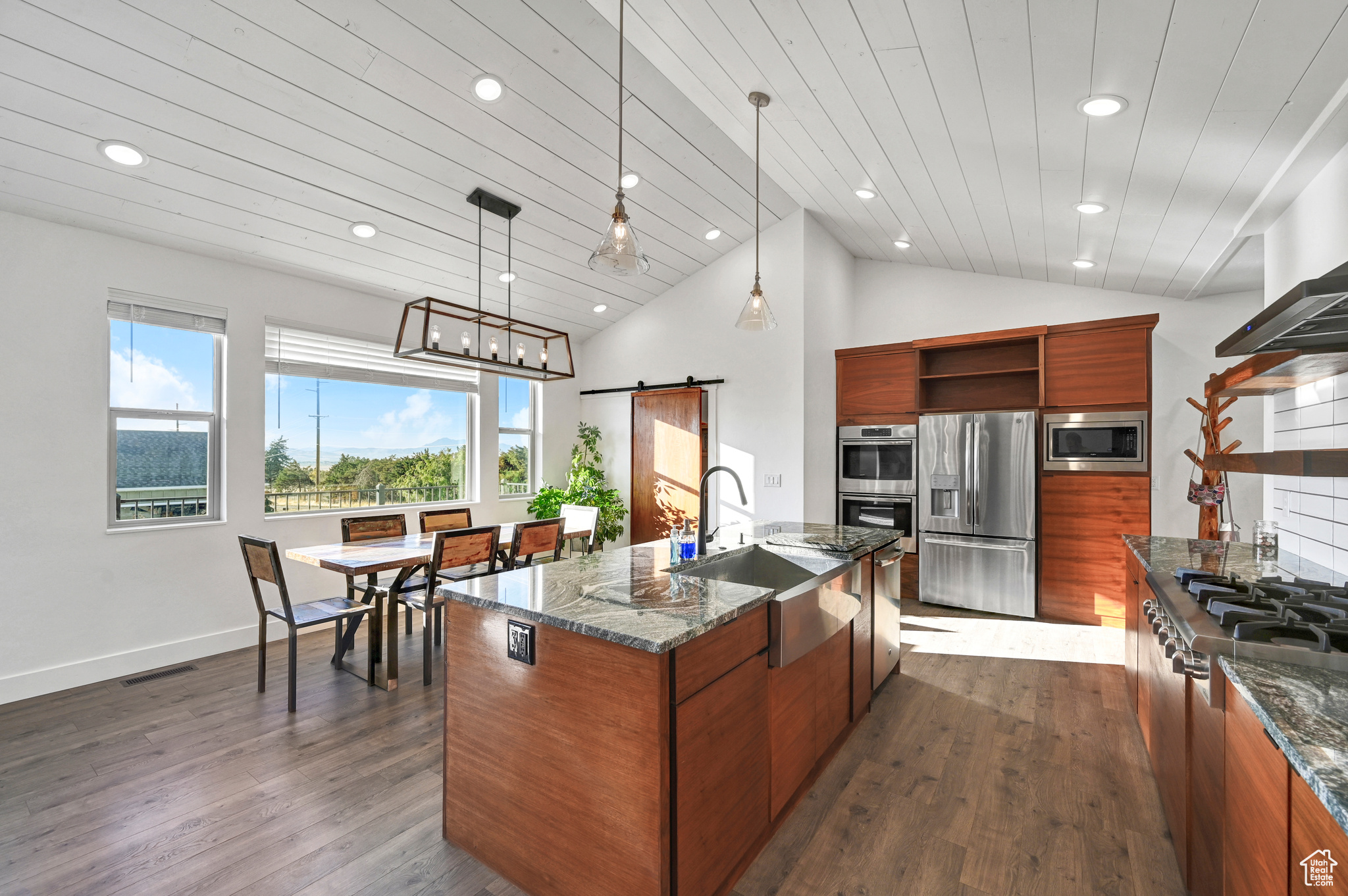 Kitchen featuring sink, stainless steel appliances, a barn door, and dark hardwood / wood-style flooring