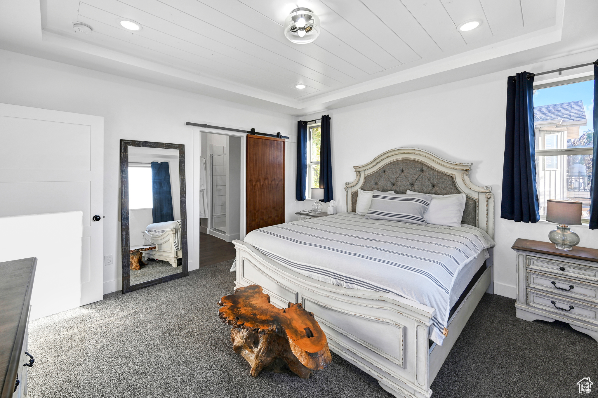 Bedroom featuring a barn door, a raised ceiling, and multiple windows