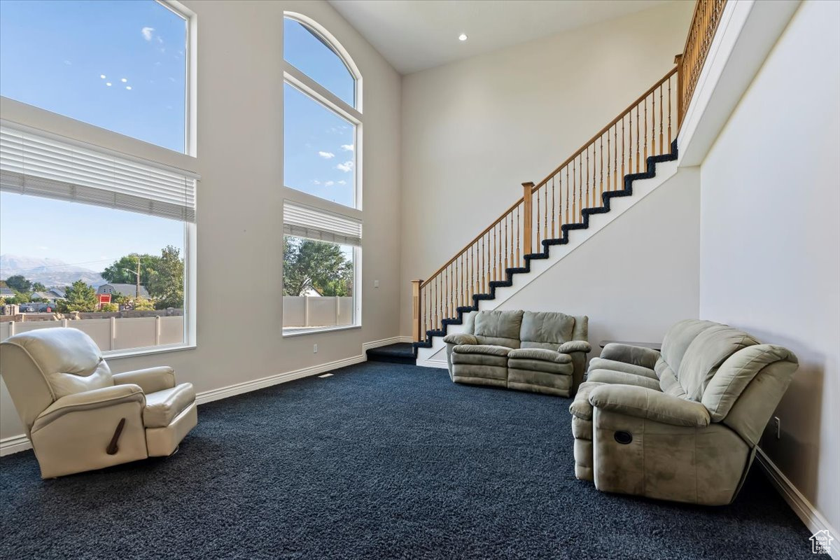 Living room featuring a towering ceiling and carpet