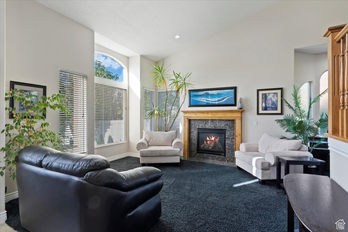 Carpeted living room featuring a towering ceiling, a high end fireplace, and a wealth of natural light