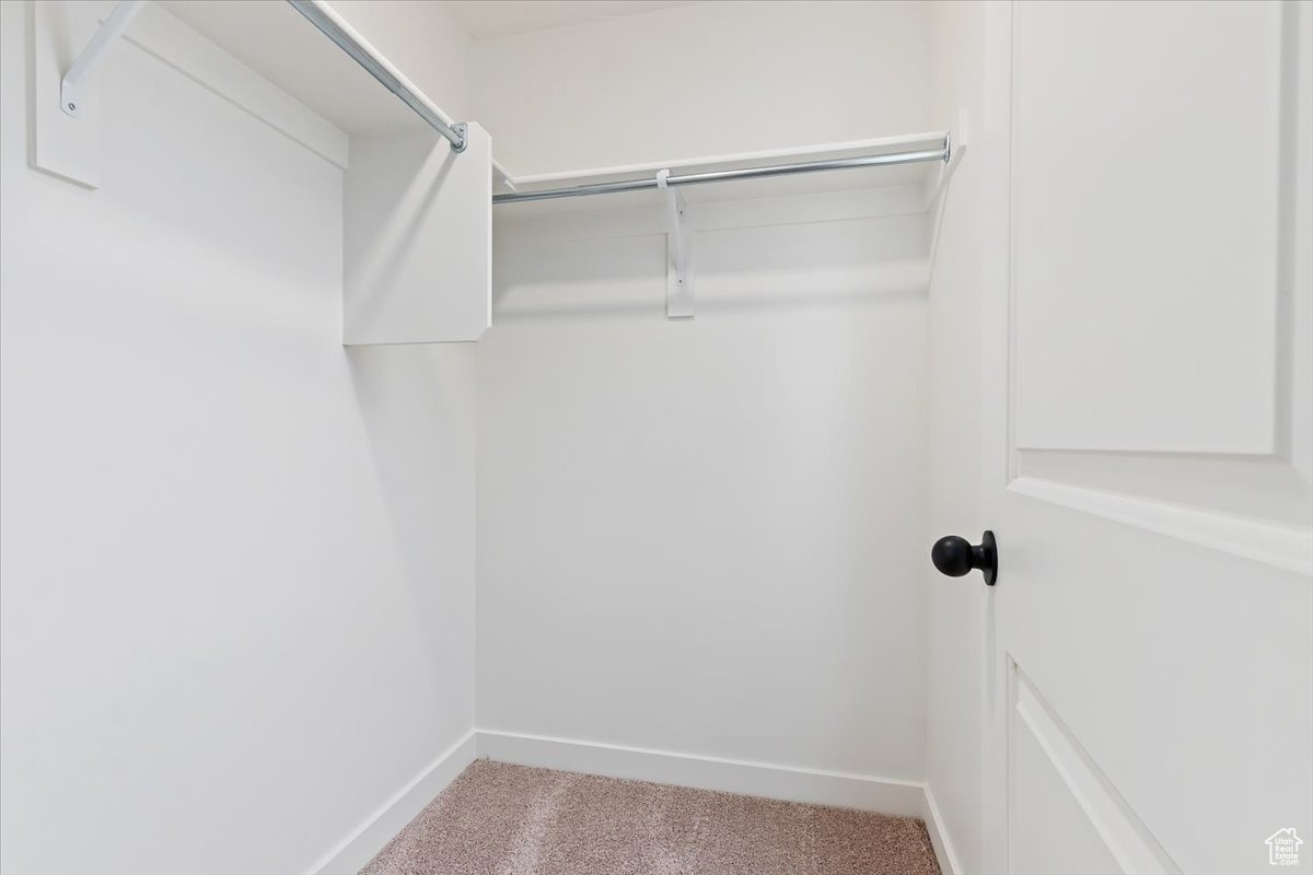 Spacious closet featuring carpet flooring