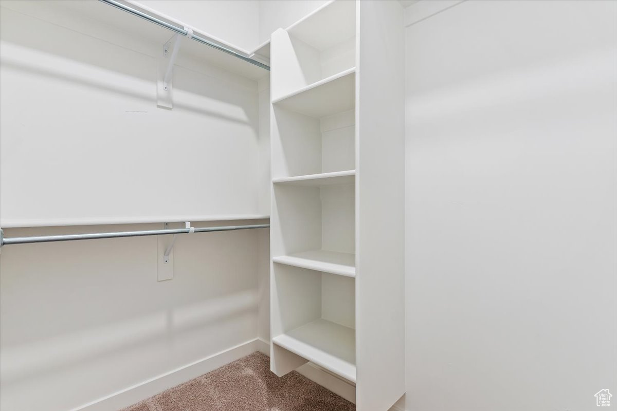 Walk in closet with carpet flooring