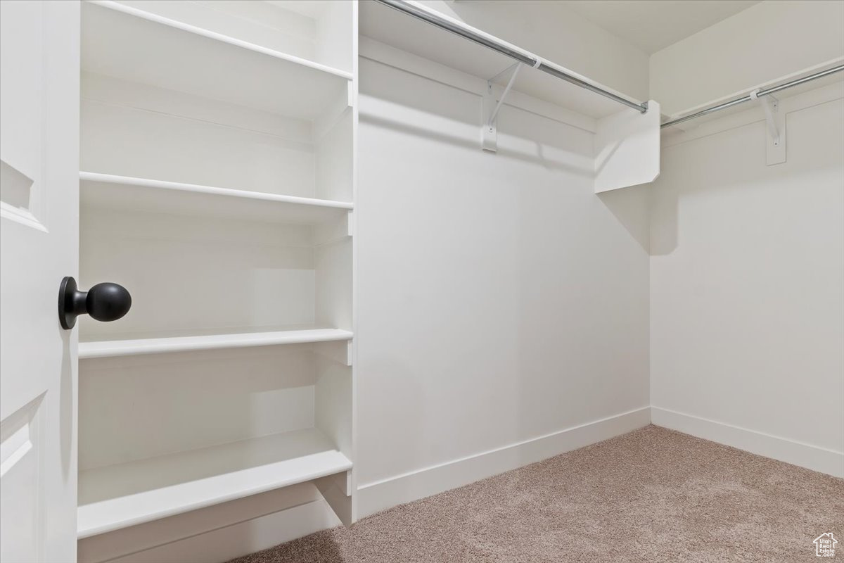 Walk in closet with carpet