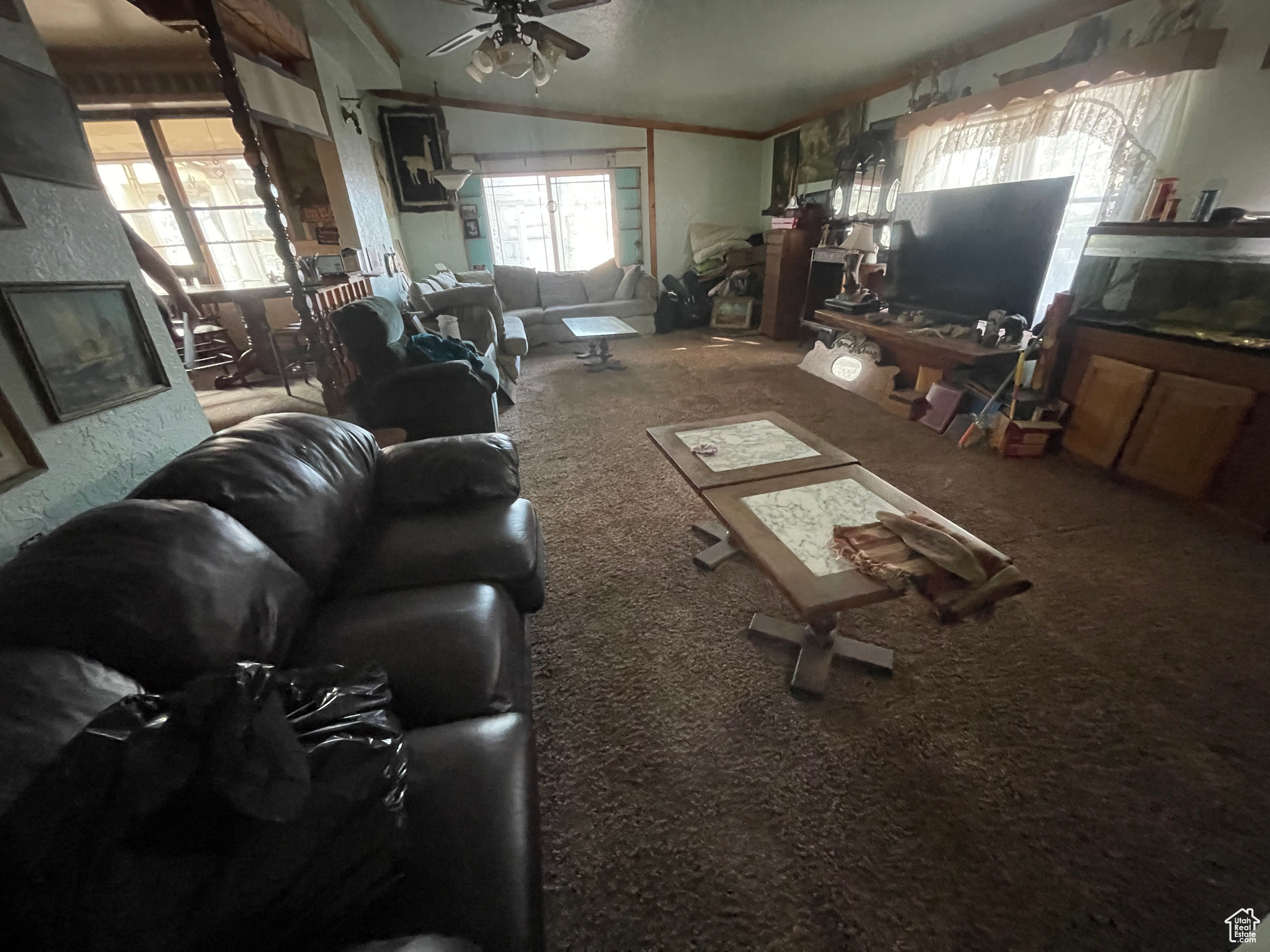 Living room featuring carpet floors, vaulted ceiling, and ceiling fan