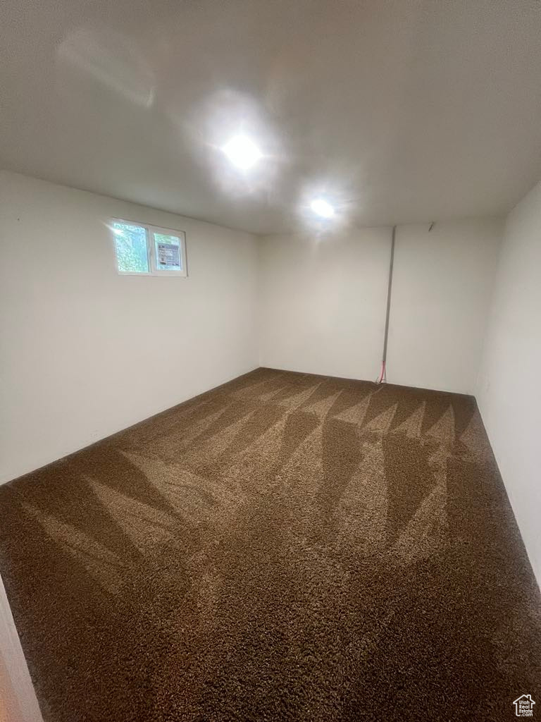 Basement featuring carpet